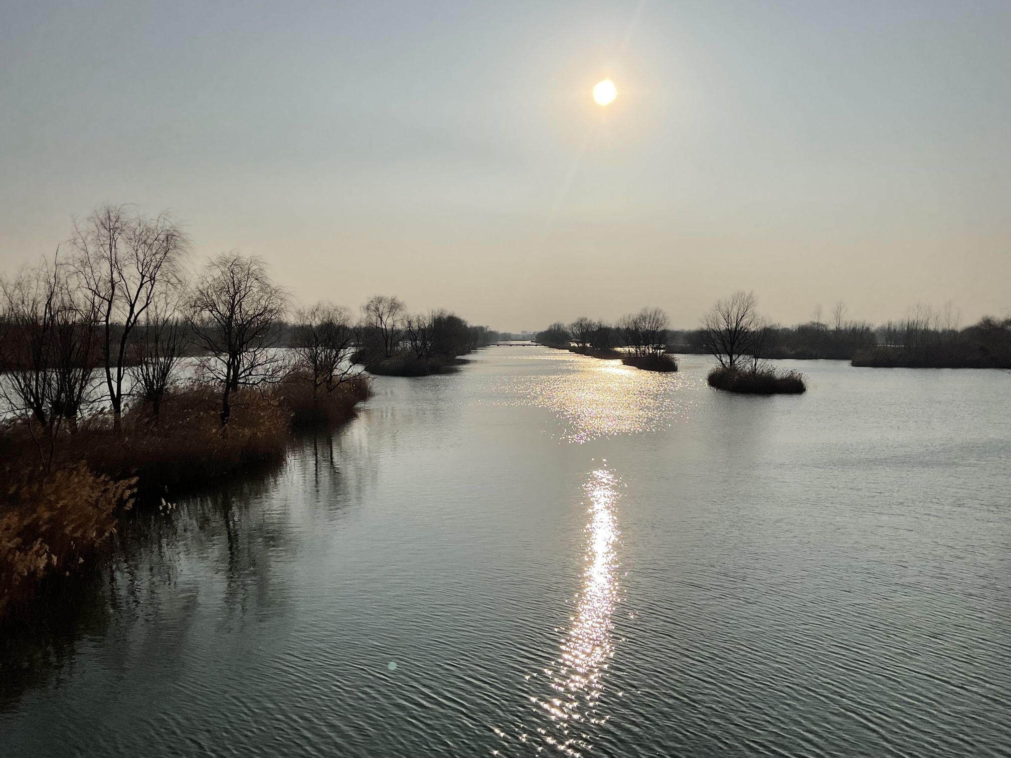 丰县黄河故道大沙河国家湿地公园旅行图片 3