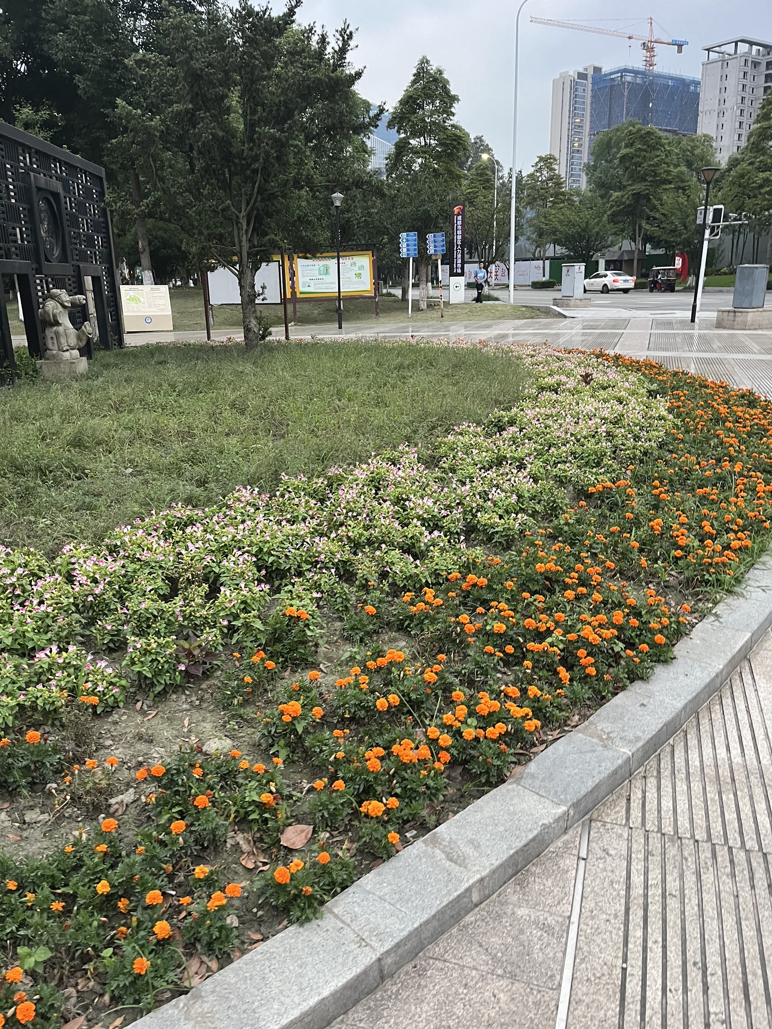杜鹃公园旅行图片 2