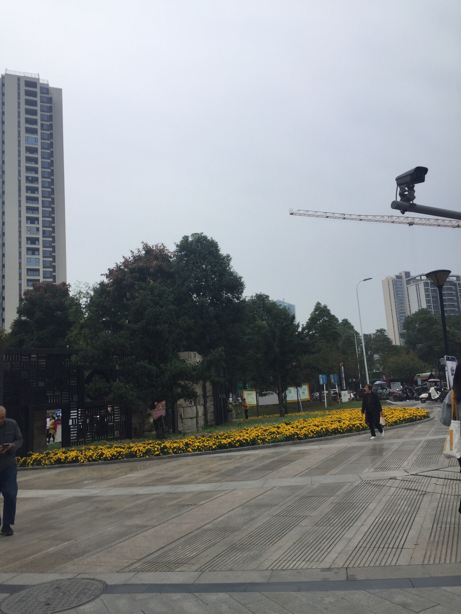 杜鹃公园旅行图片 2