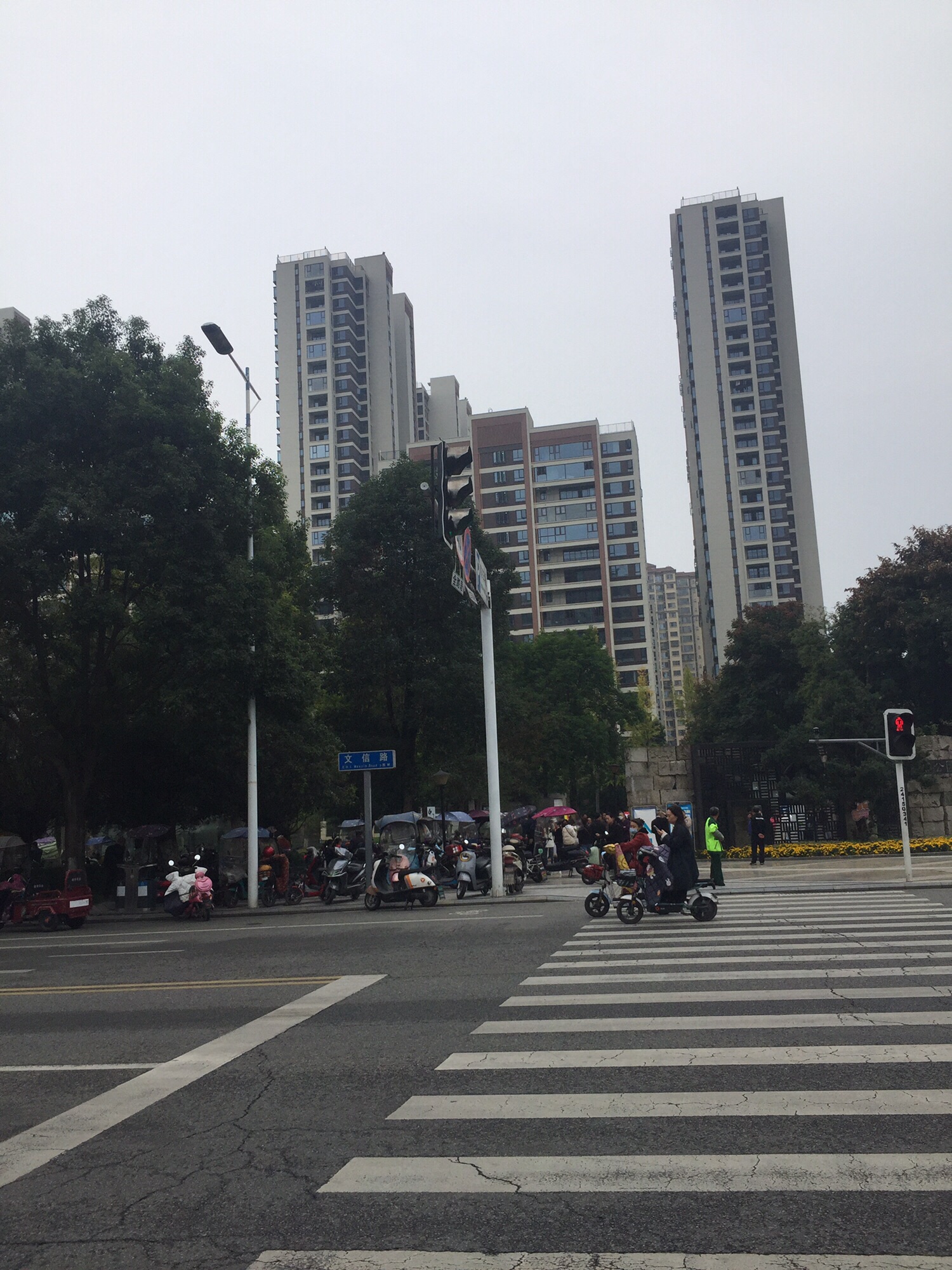 杜鹃公园旅行图片 1