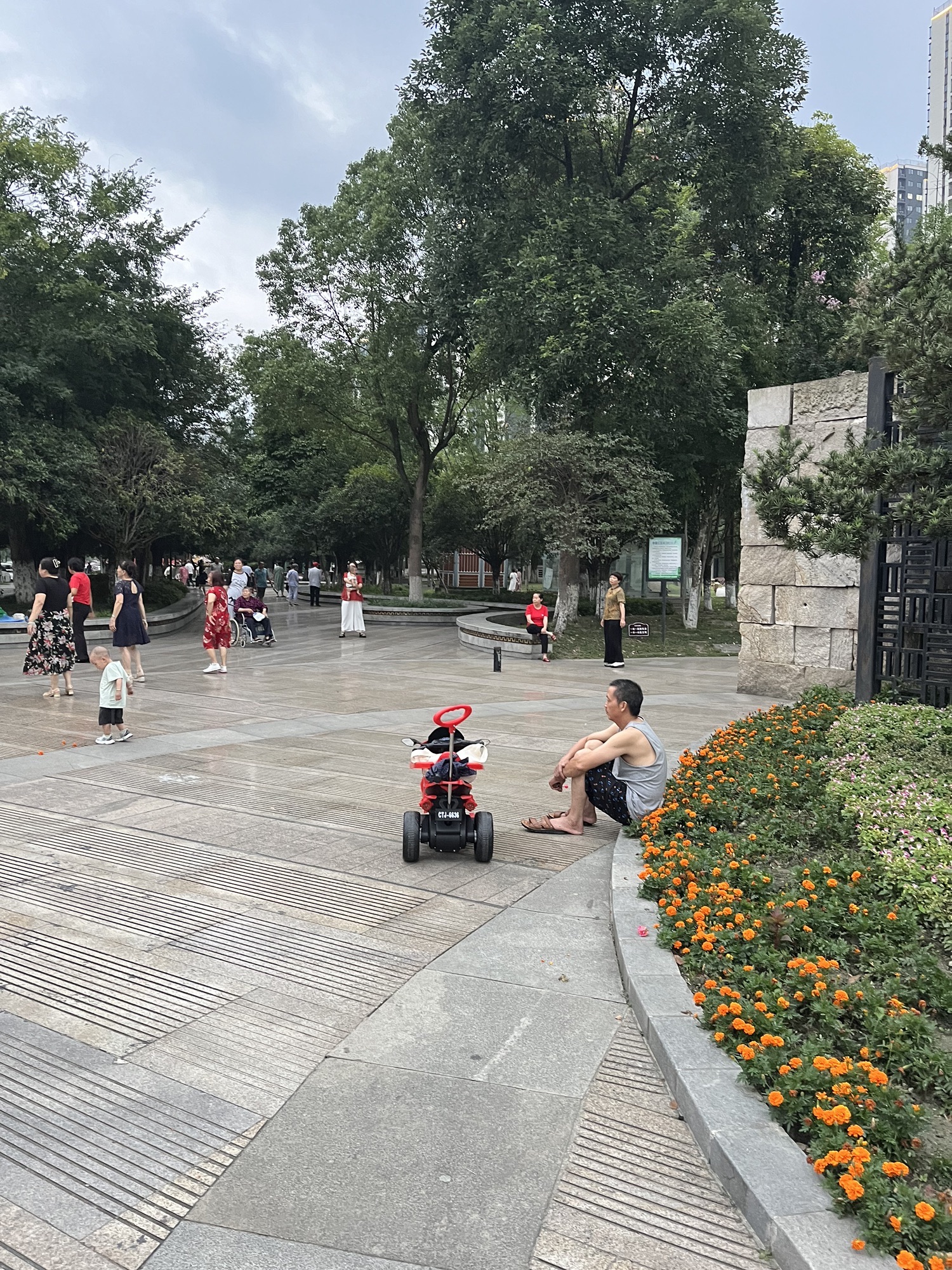 杜鹃公园旅行图片 3
