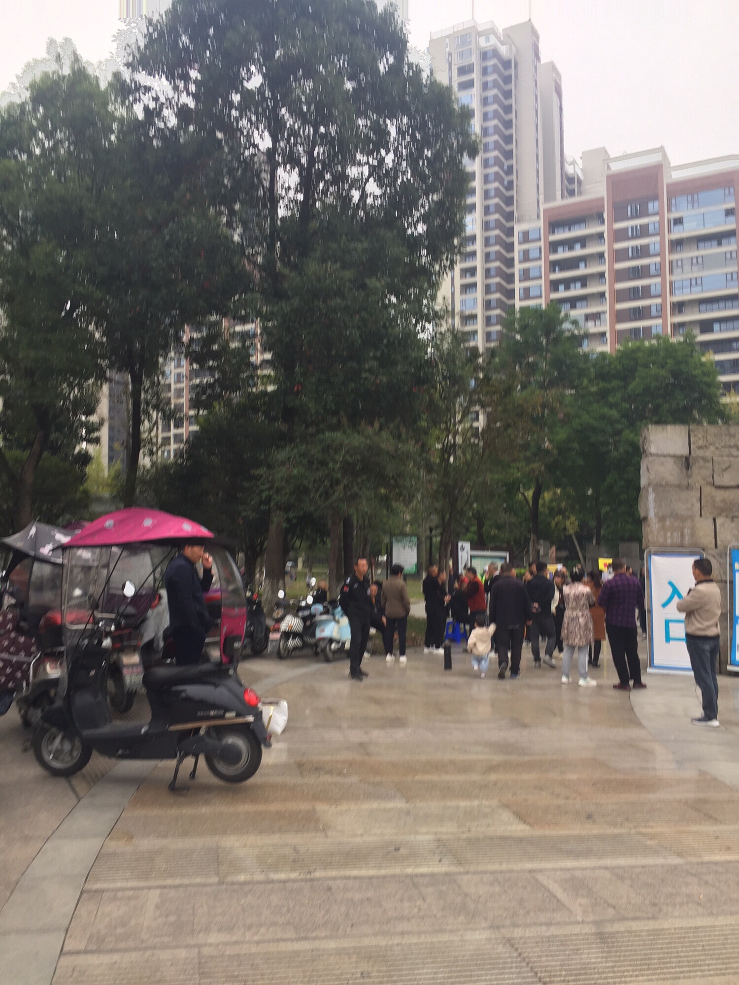 杜鹃公园旅行图片 3