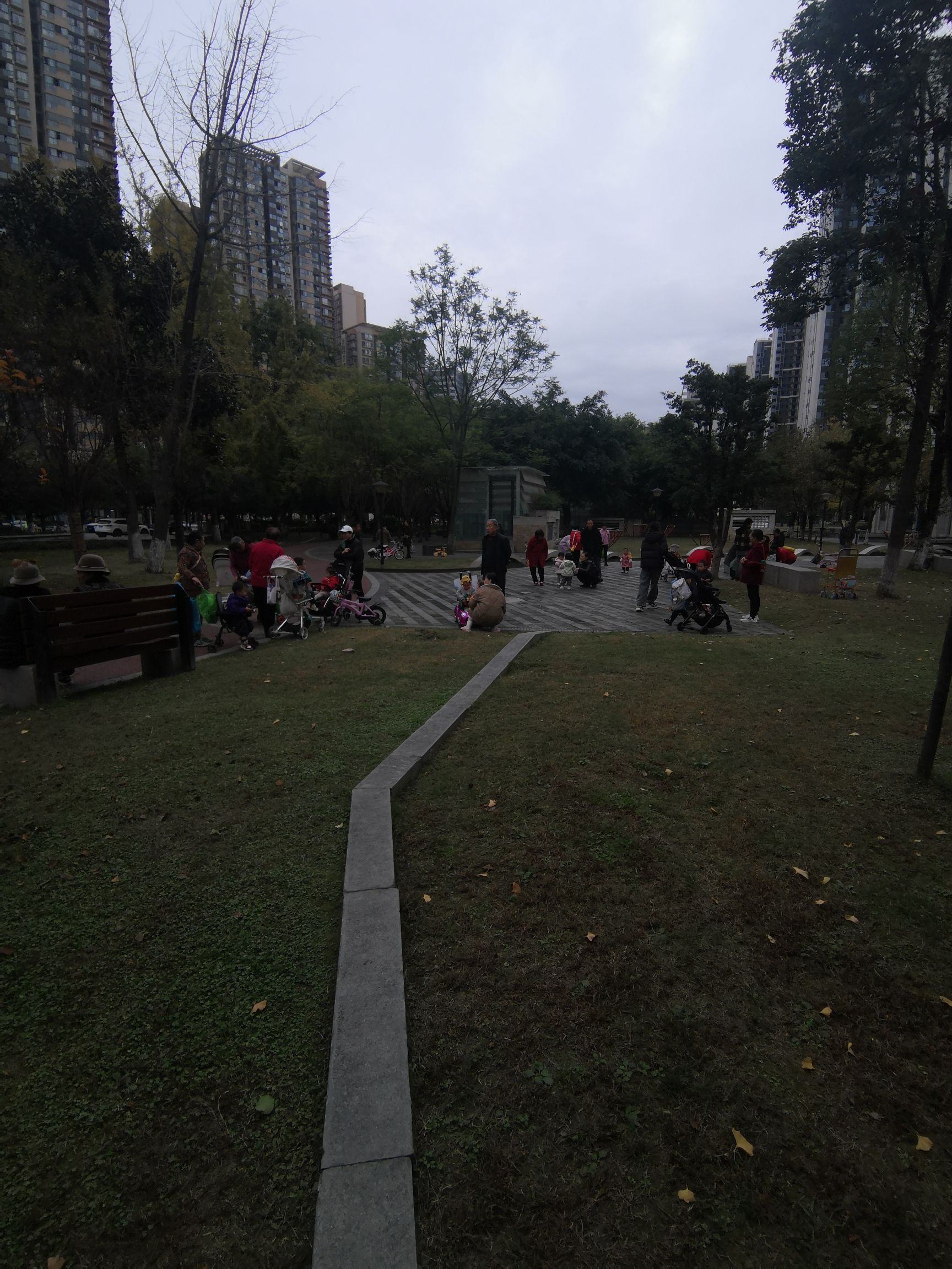 杜鹃公园旅行图片 3