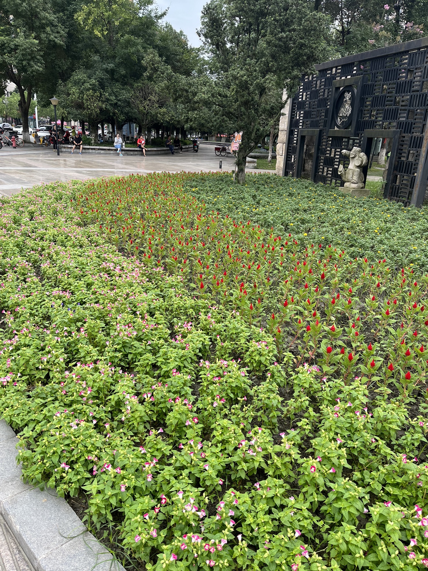 杜鹃公园旅行图片 2