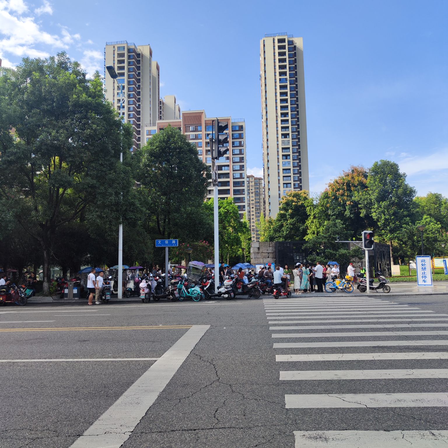 杜鹃公园旅行图片 3