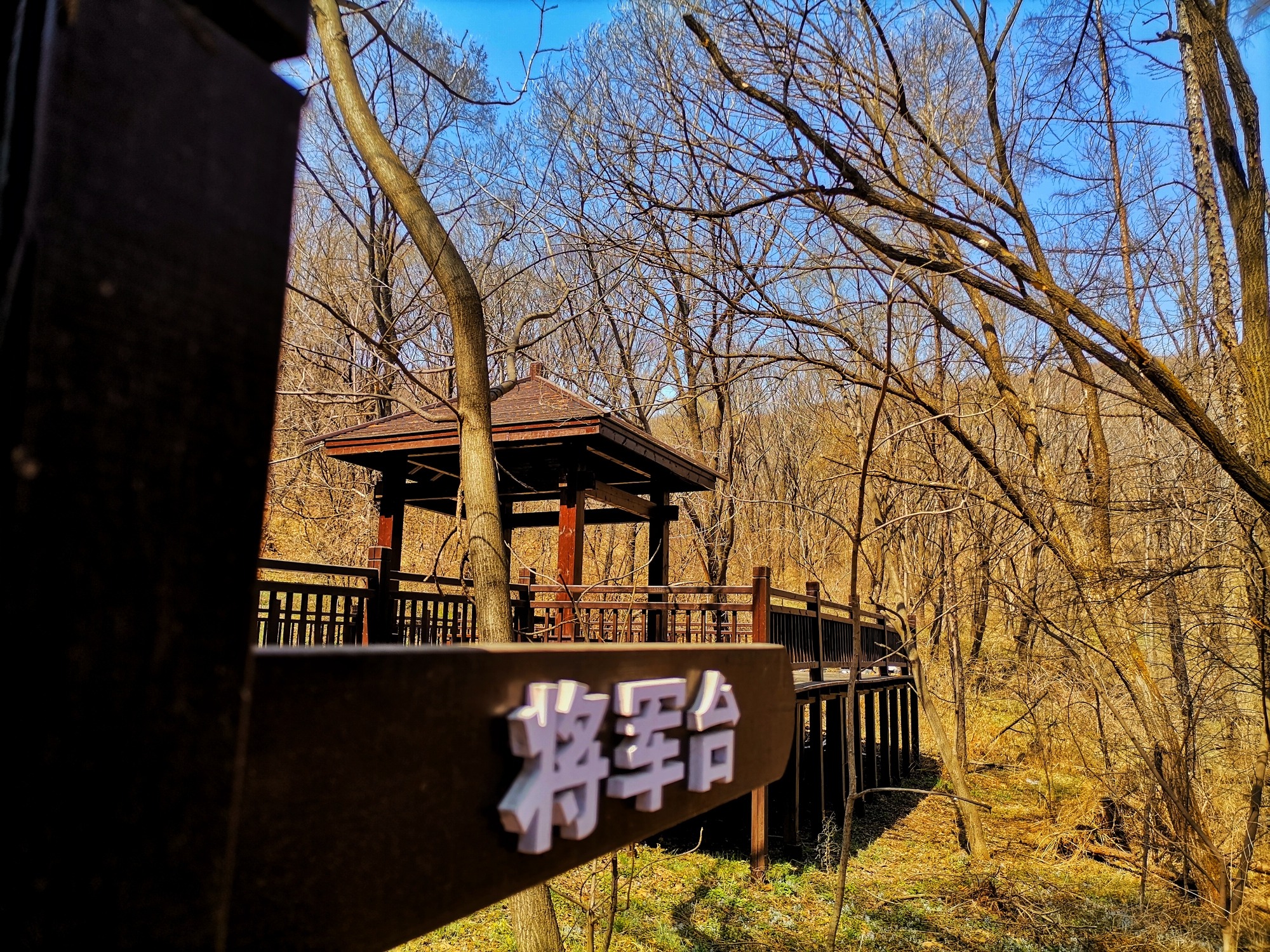 寒葱顶国家森林公园旅行图片 1