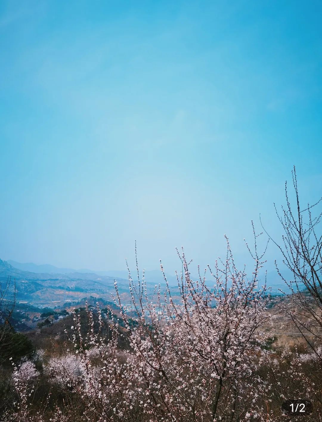 杏树台村观景台旅行图片 1