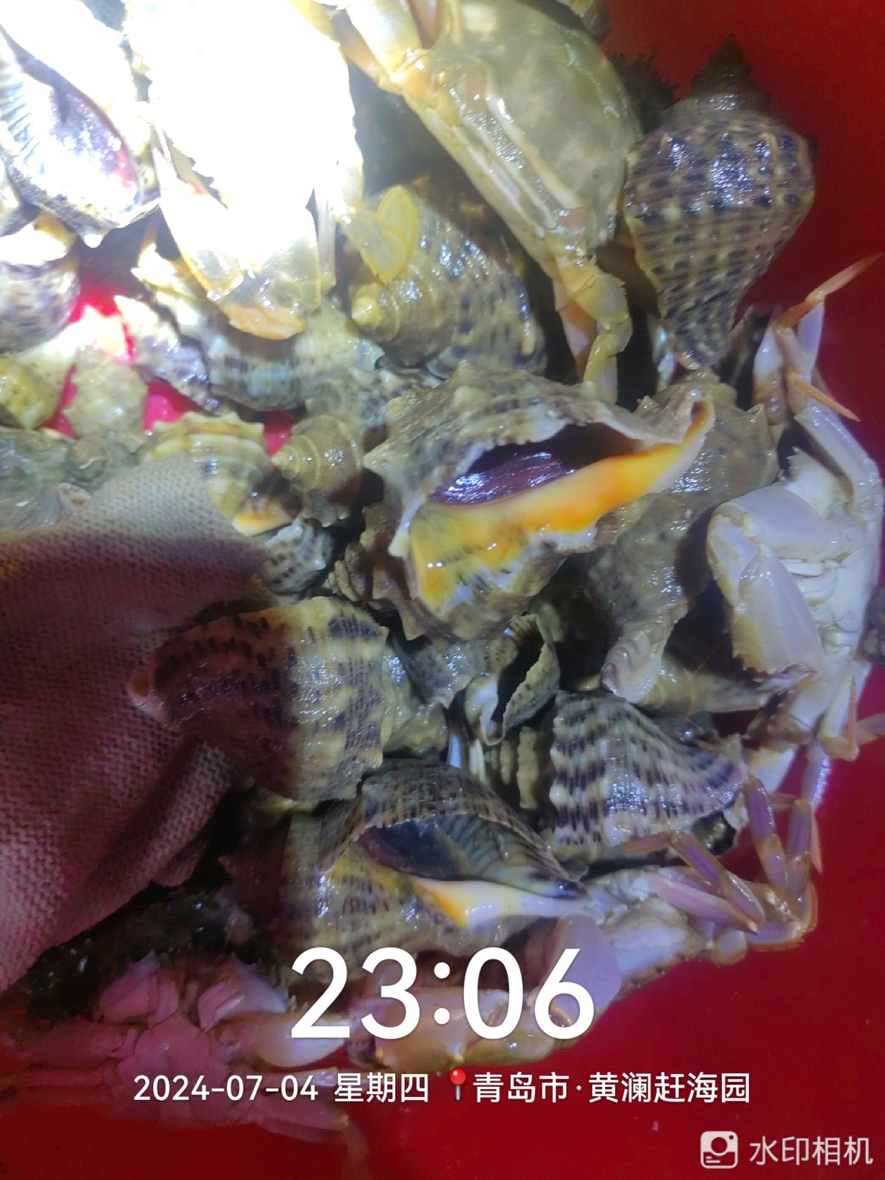 红岛黄澜赶海园旅行图片 2