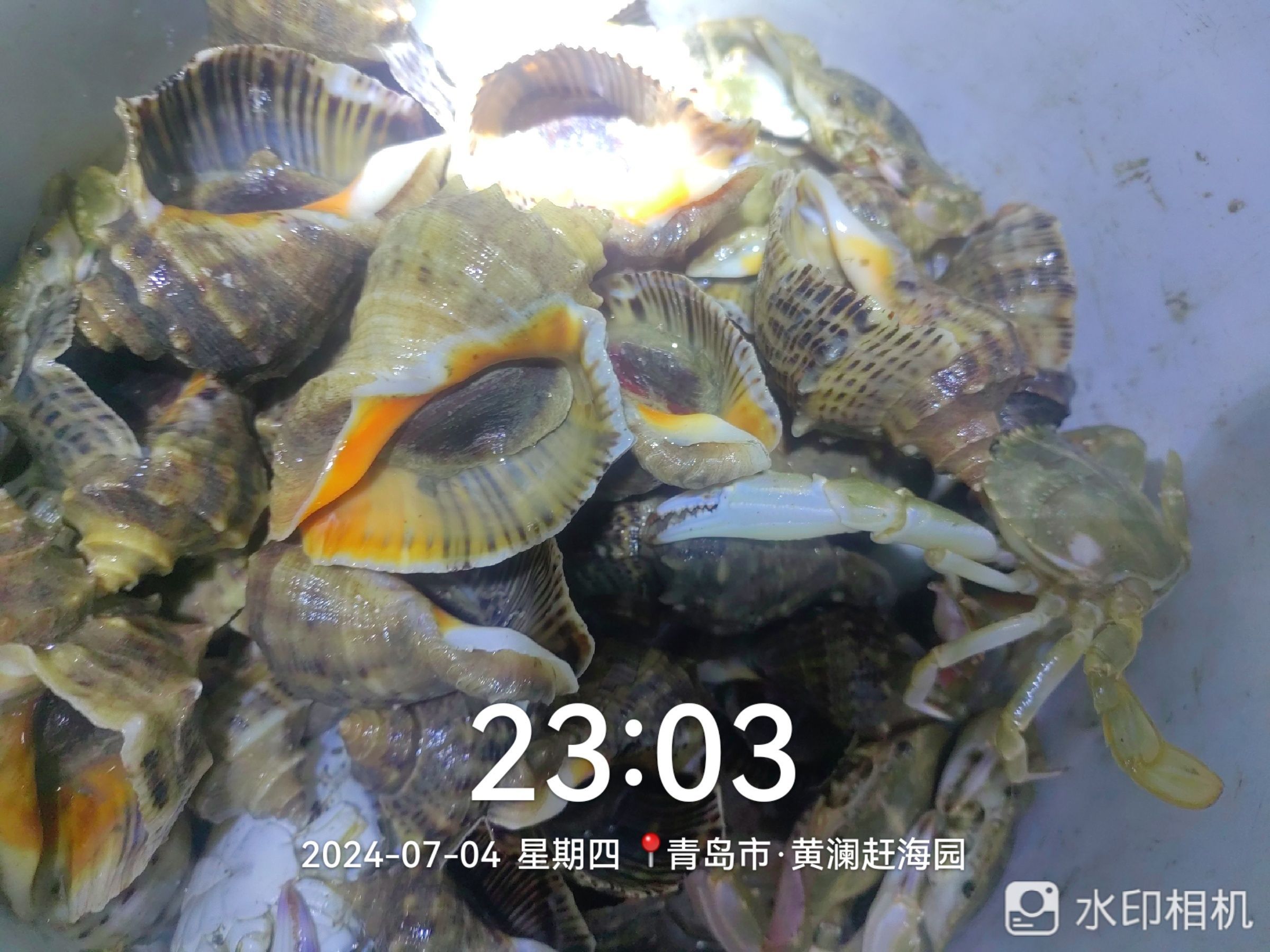 红岛黄澜赶海园旅行图片 1