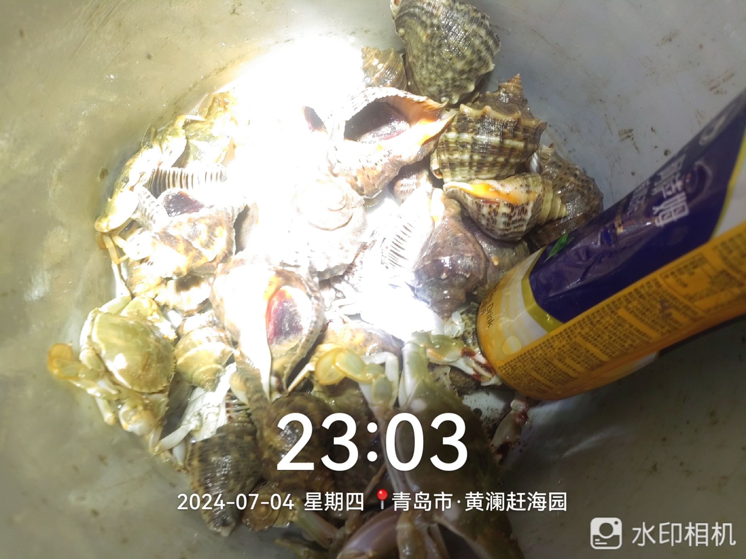 红岛黄澜赶海园旅行图片 3