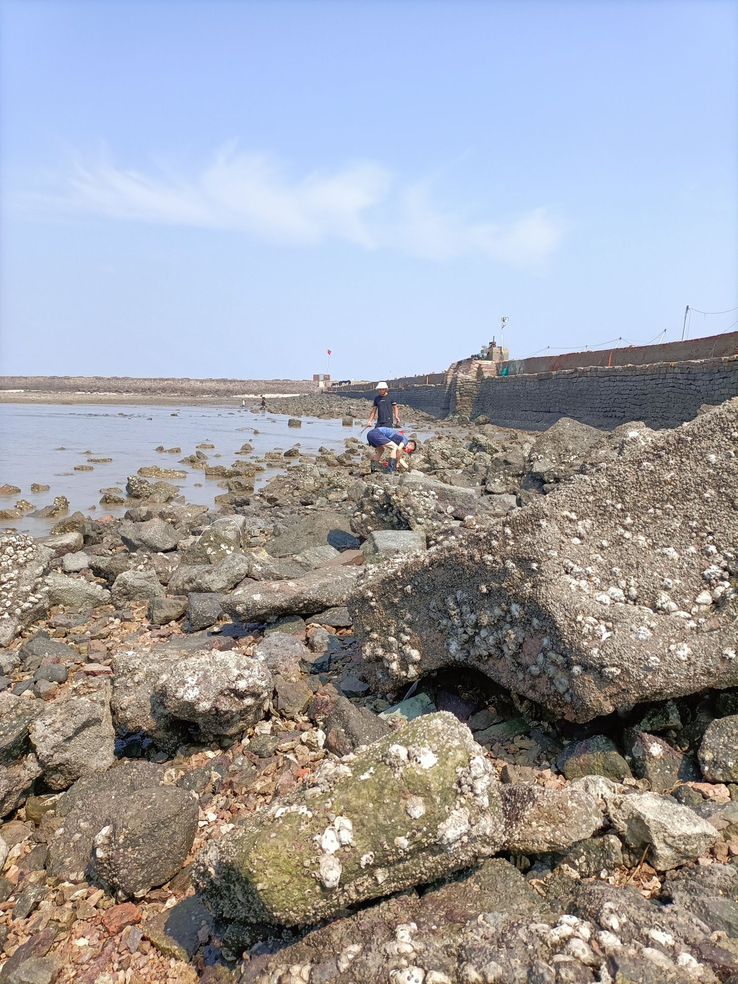 红岛黄澜赶海园旅行图片 1