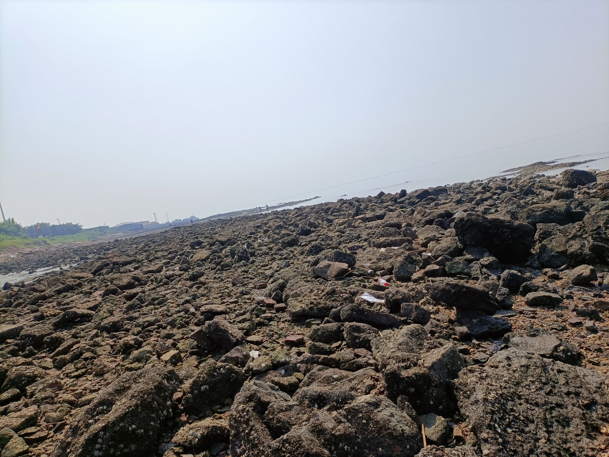 红岛黄澜赶海园旅行图片 3
