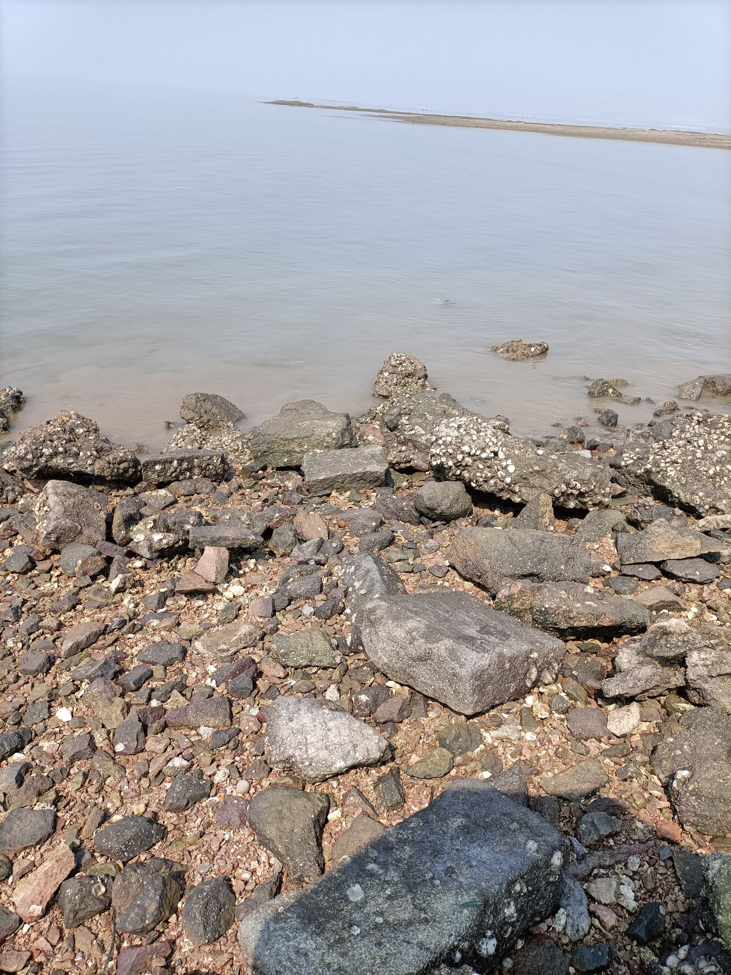 红岛黄澜赶海园旅行图片 2