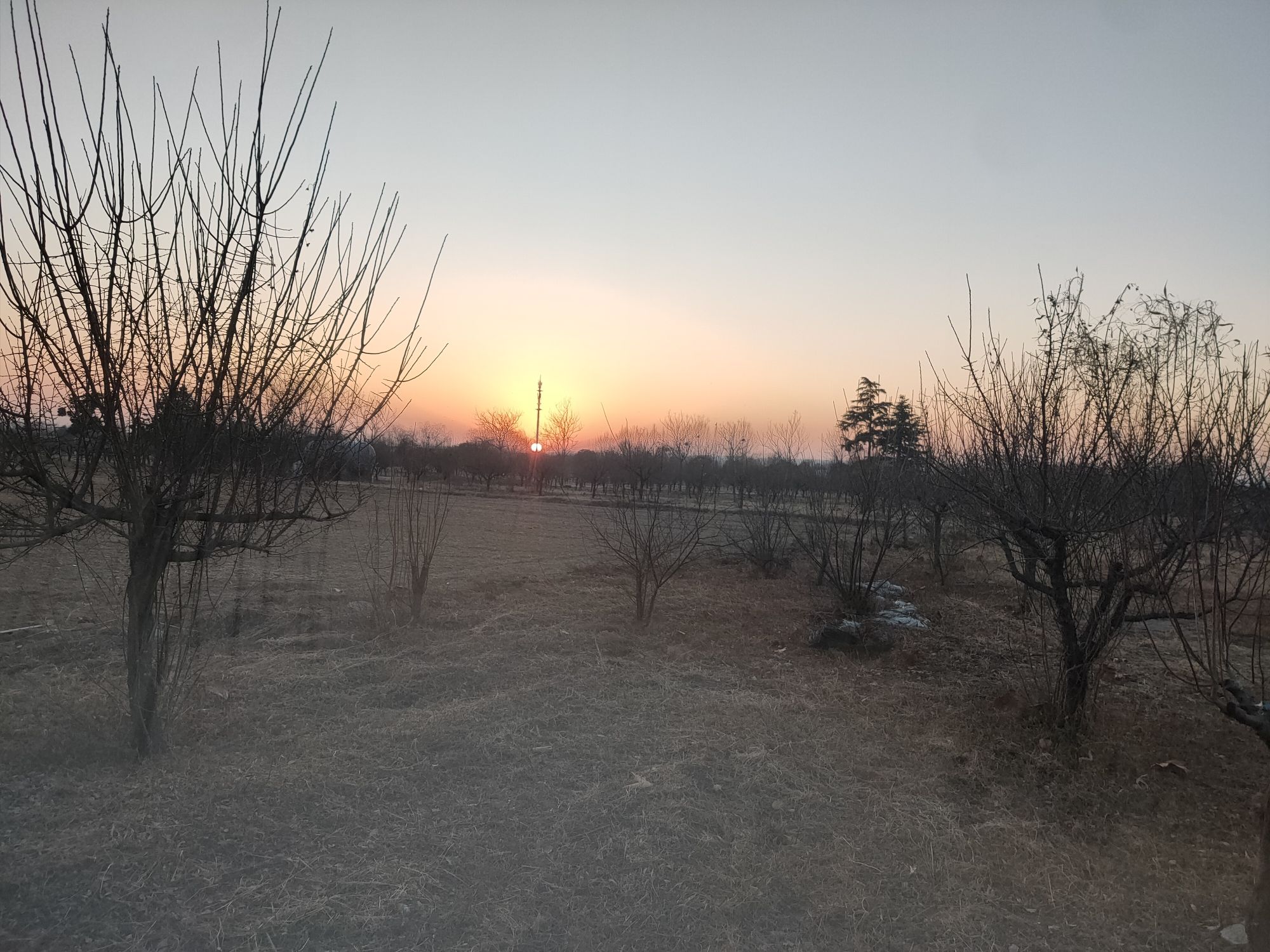 沙雕文化园旅行图片 3