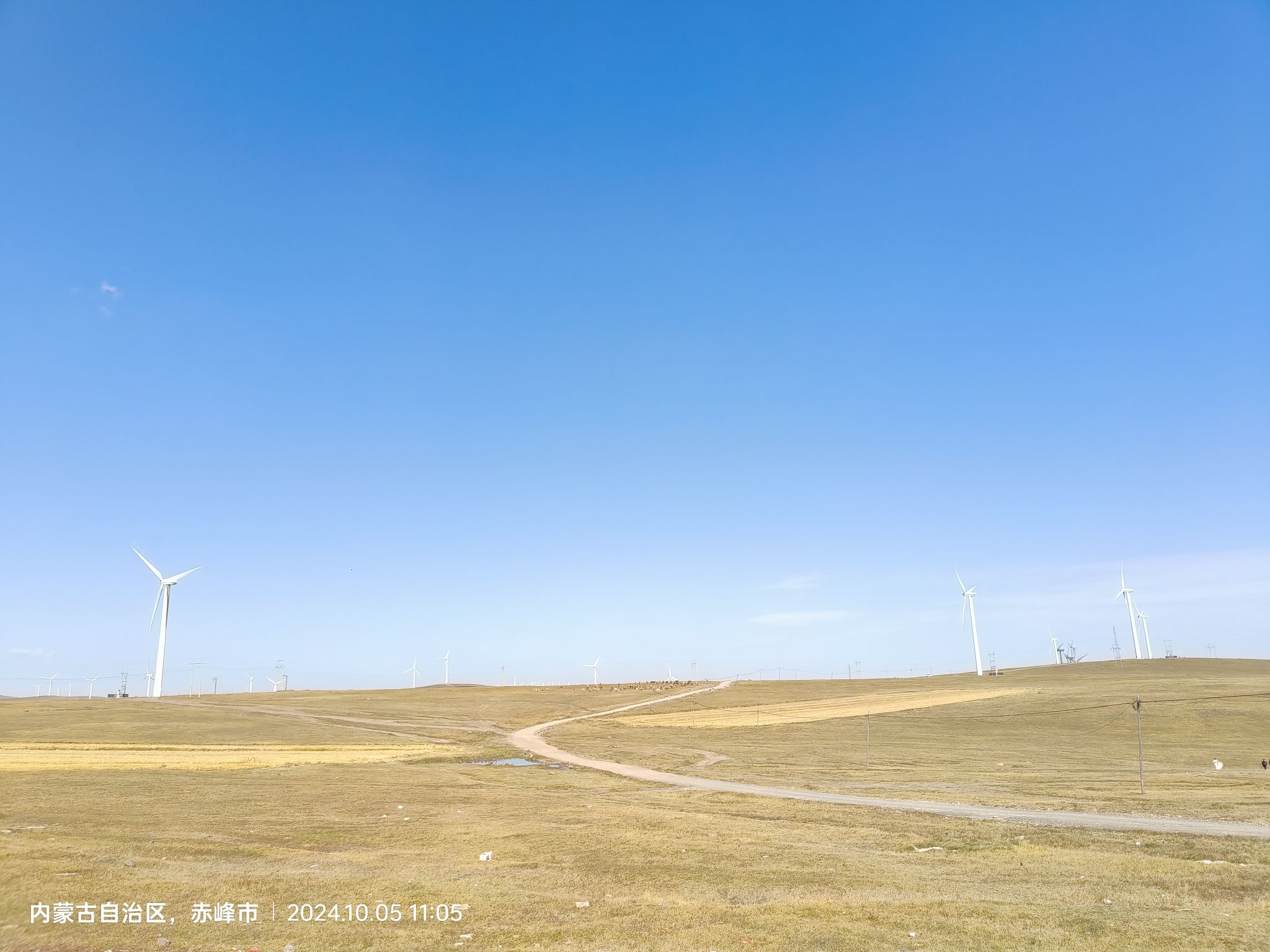 灯笼河子牧场旅行图片 2
