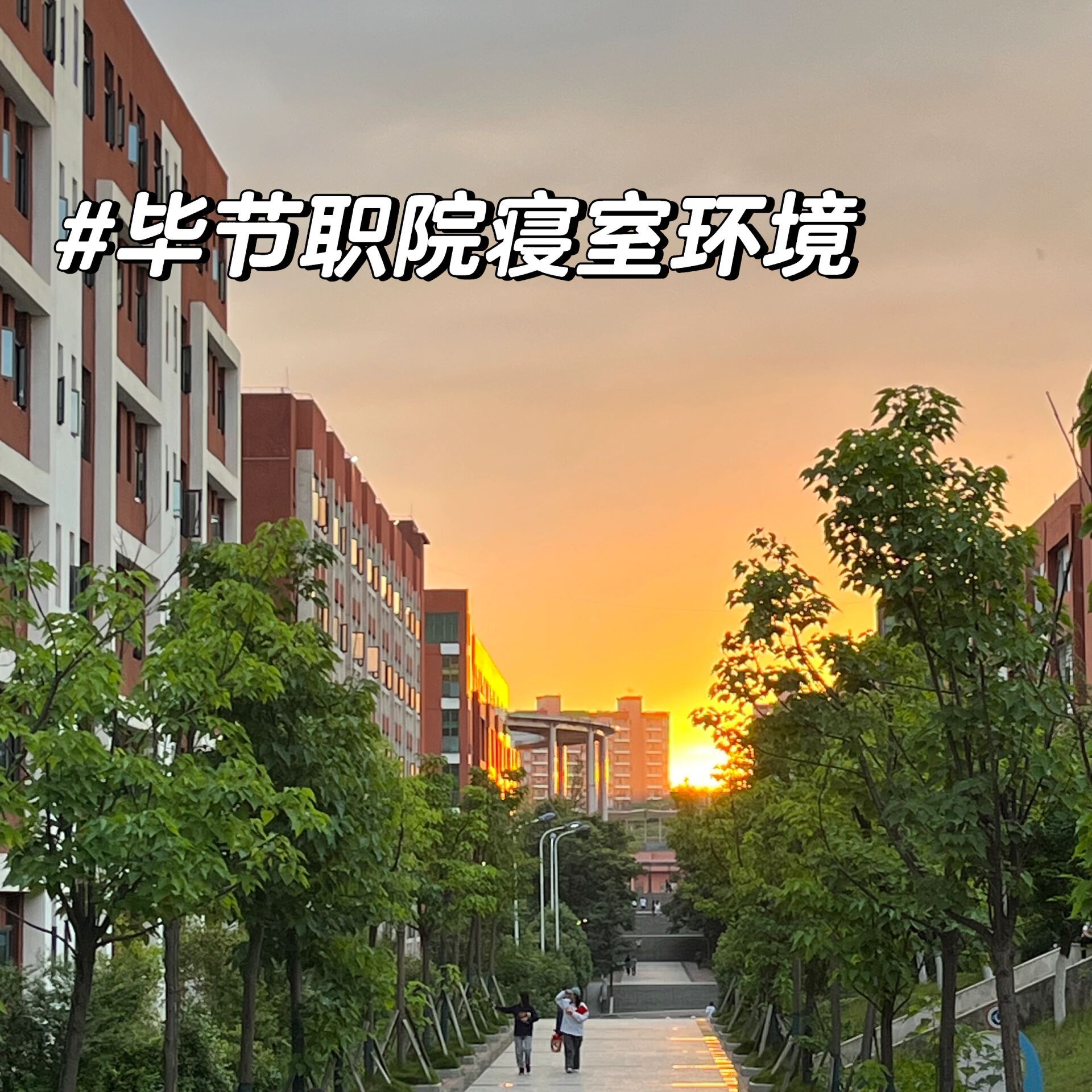 毕节职业技术学院