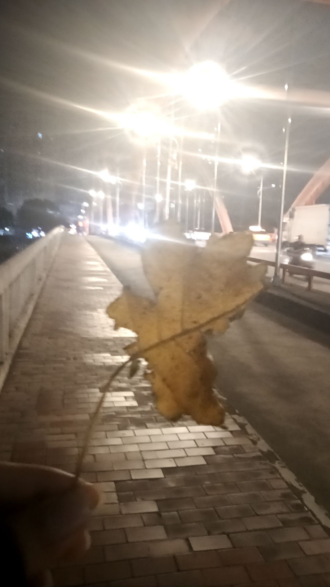 仙游兰溪公园旅行图片 2