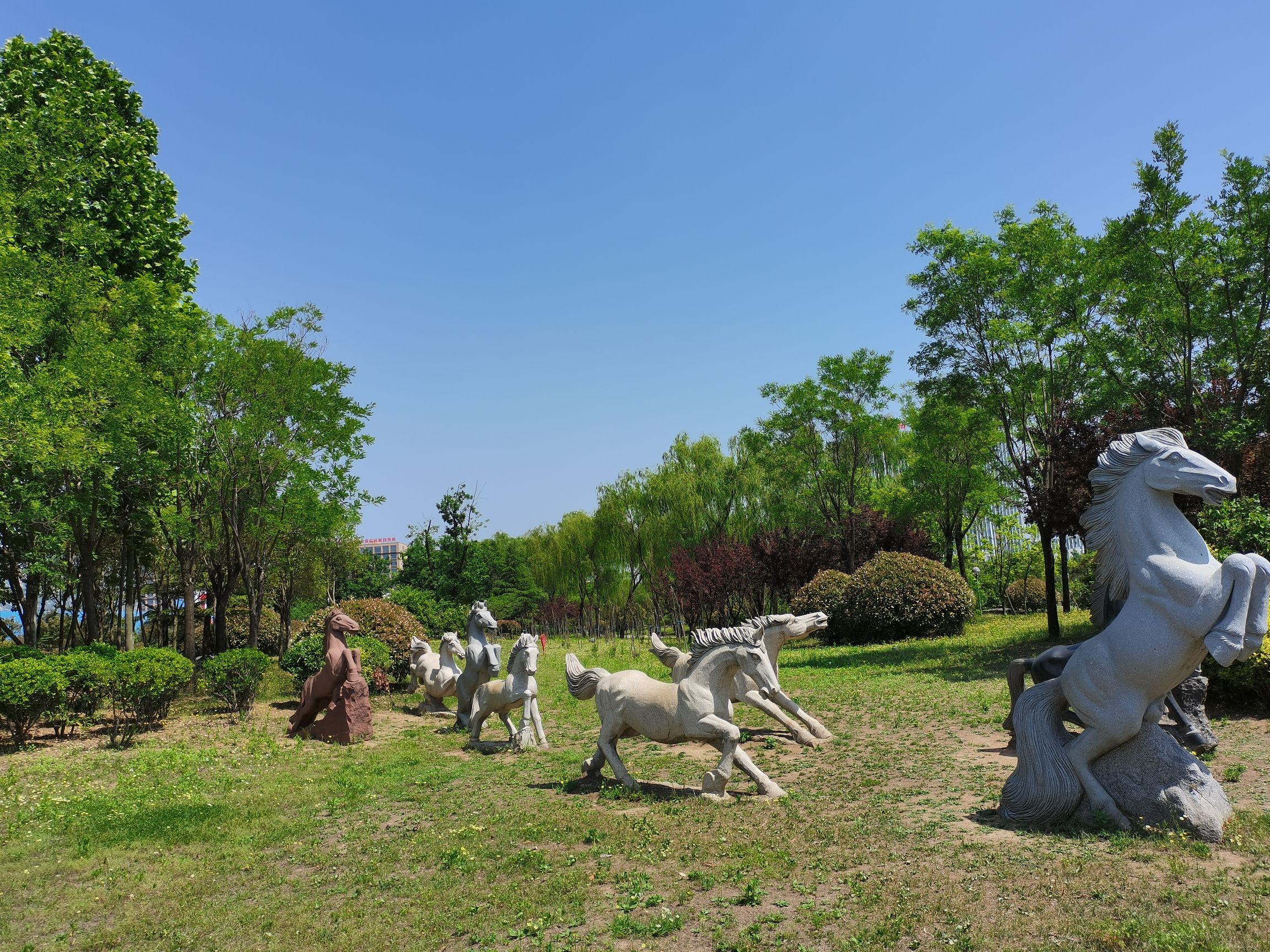 梯田森林公园旅行图片 2