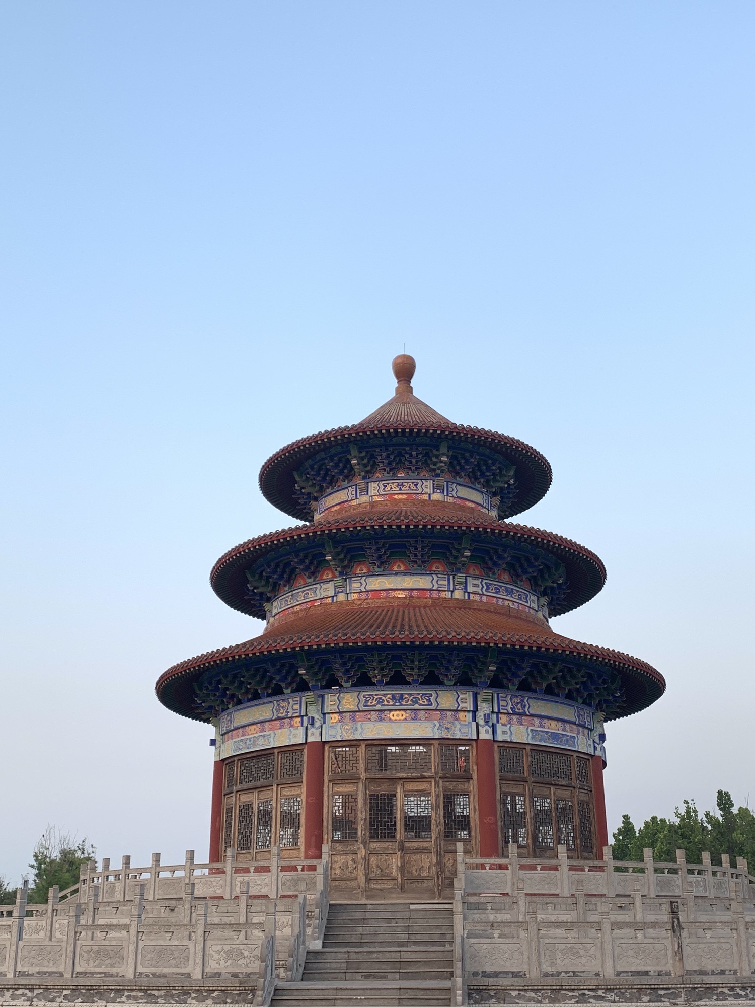梯田森林公园旅行图片 3