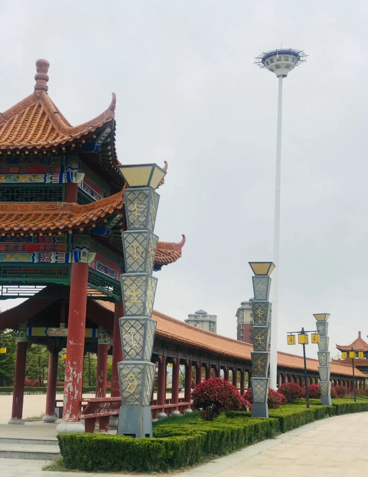 梯田森林公园旅行图片 2