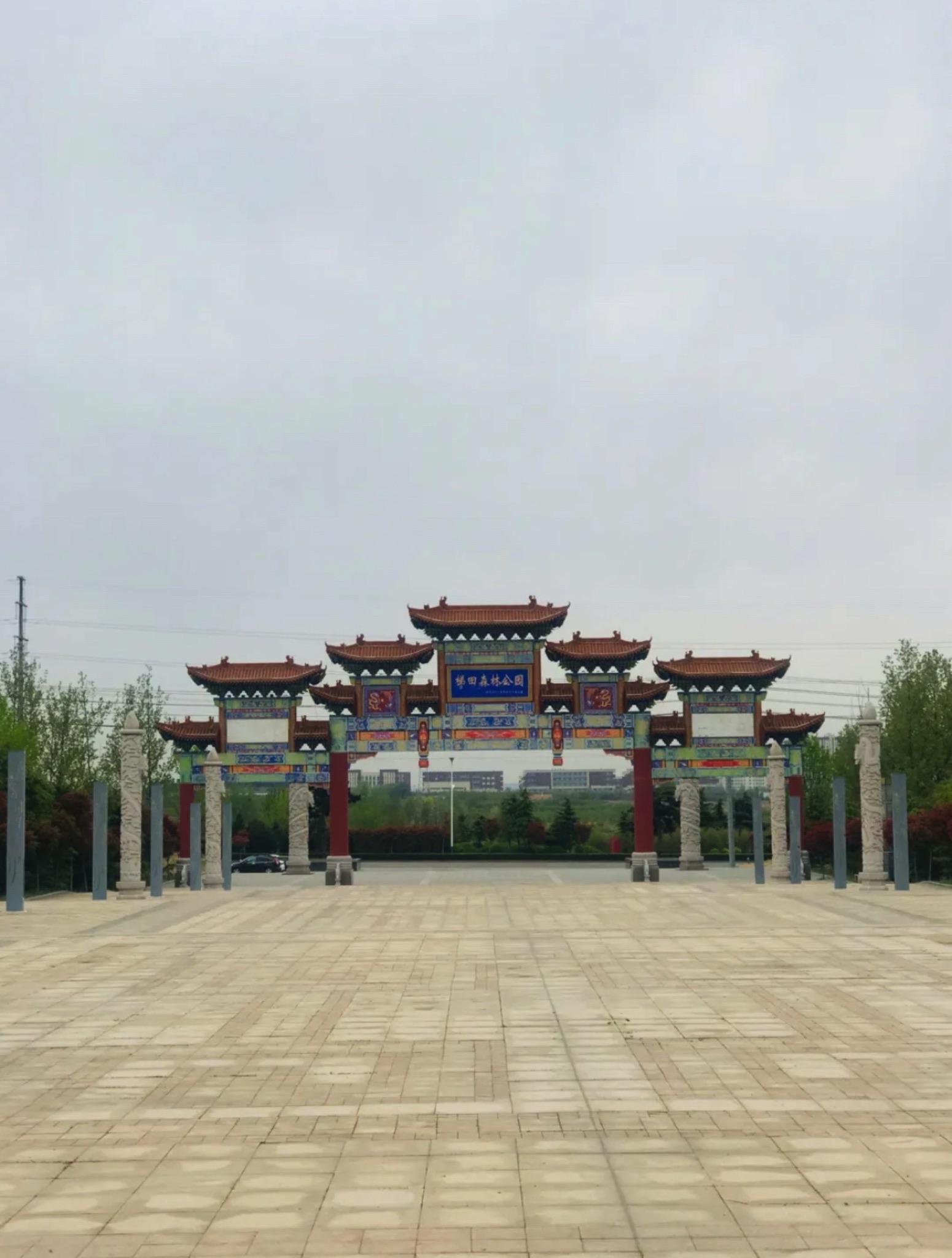 梯田森林公园旅行图片 1