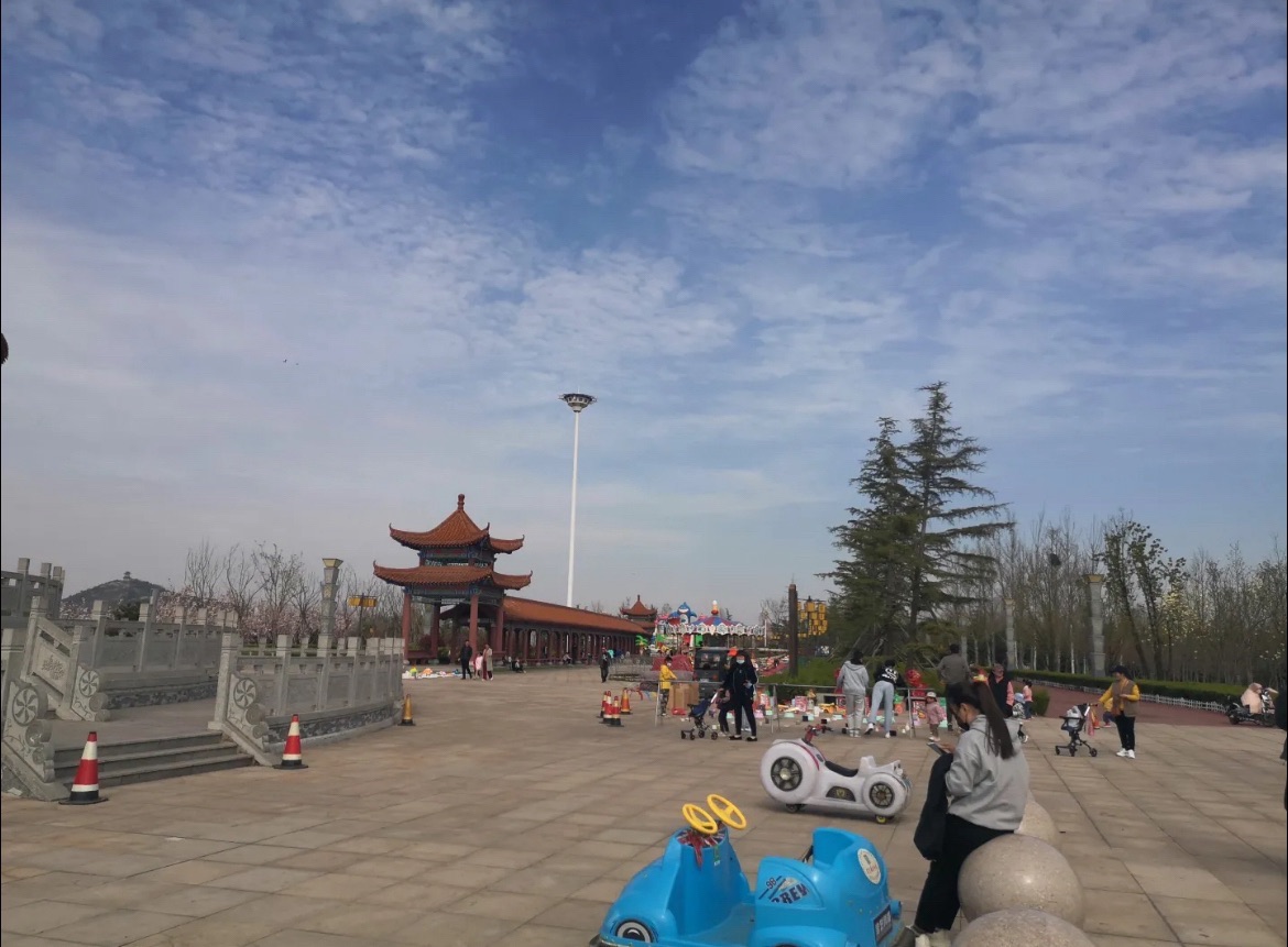梯田森林公园旅行图片 3