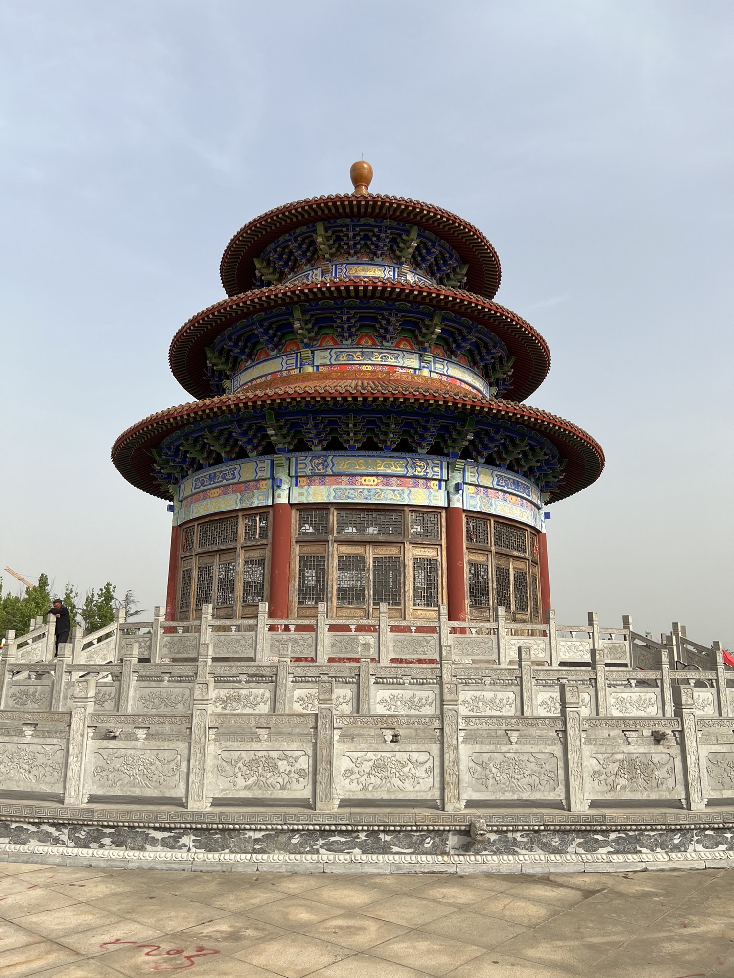梯田森林公园旅行图片 2