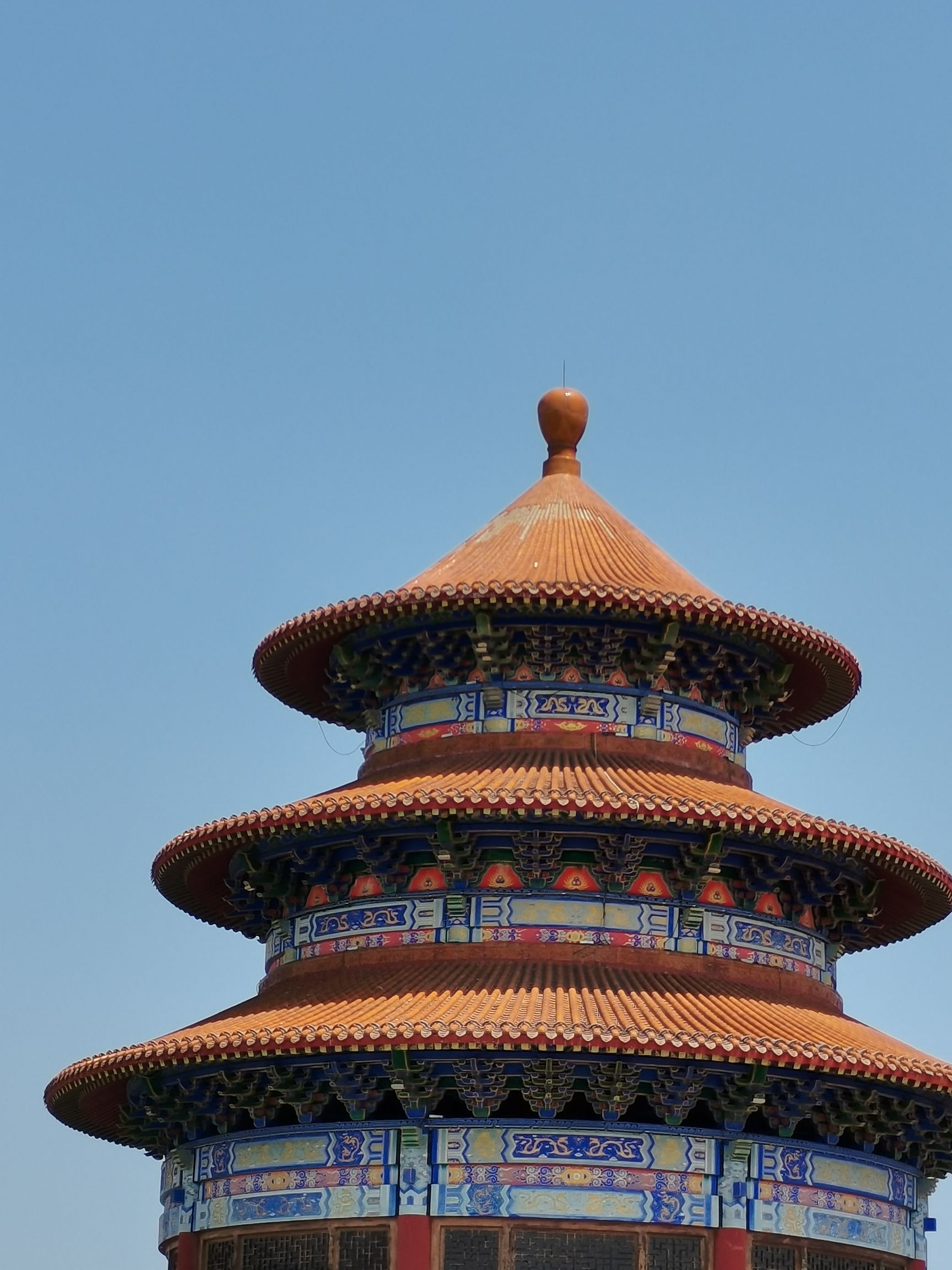 梯田森林公园旅行图片 1