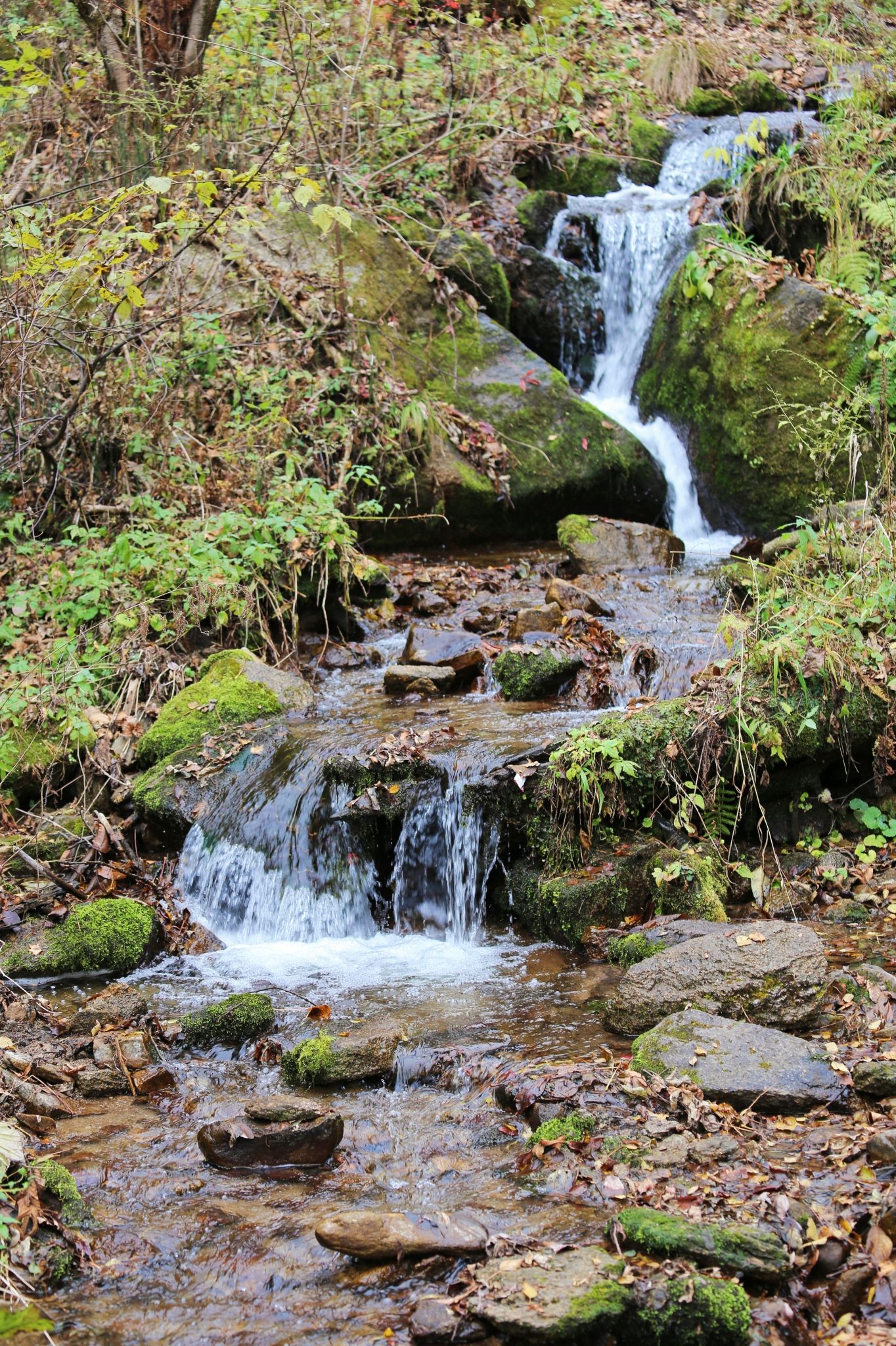 虎峰岭风景区旅行图片 1