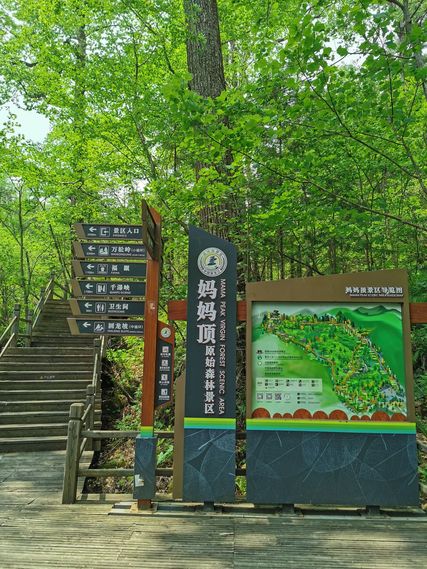 妈妈顶原始森林景区