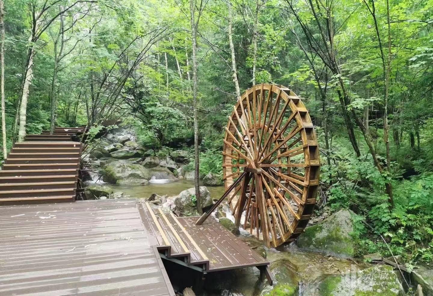 妈妈顶原始森林景区(暂停开放)旅行图片 1