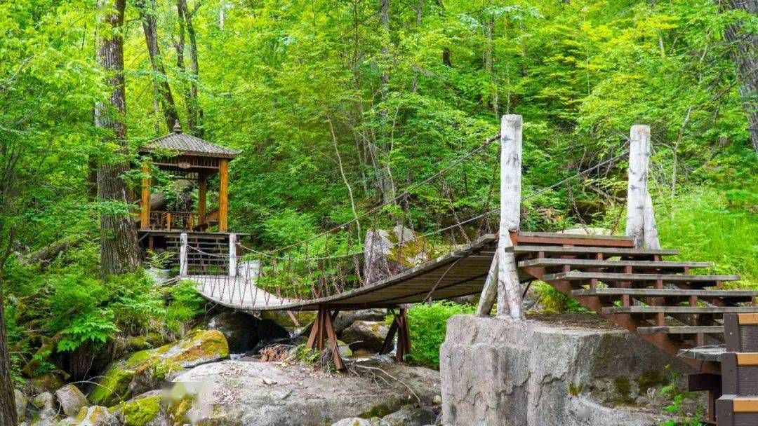 妈妈顶原始森林景区(暂停开放)旅行图片 2