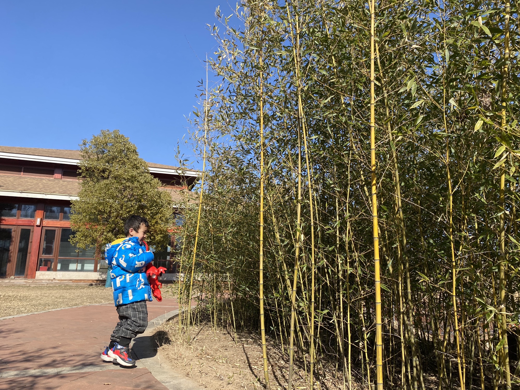 西霞院风景区旅行图片 2