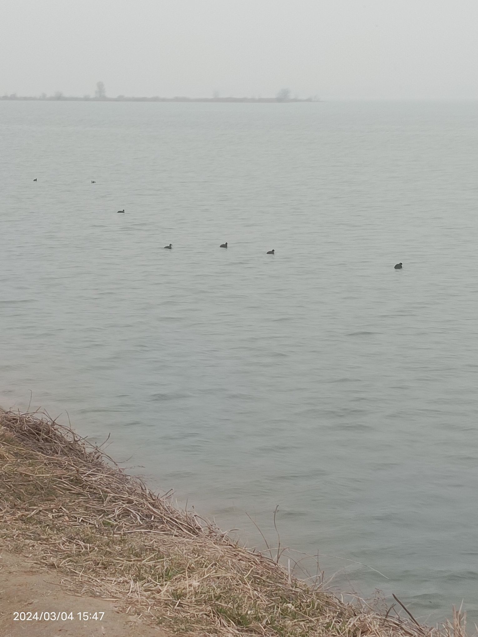 西霞院风景区旅行图片 1