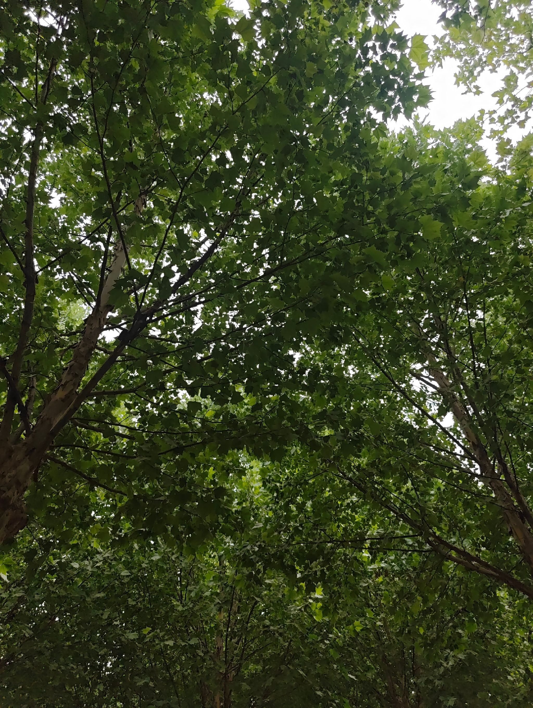 西霞院风景区旅行图片 2