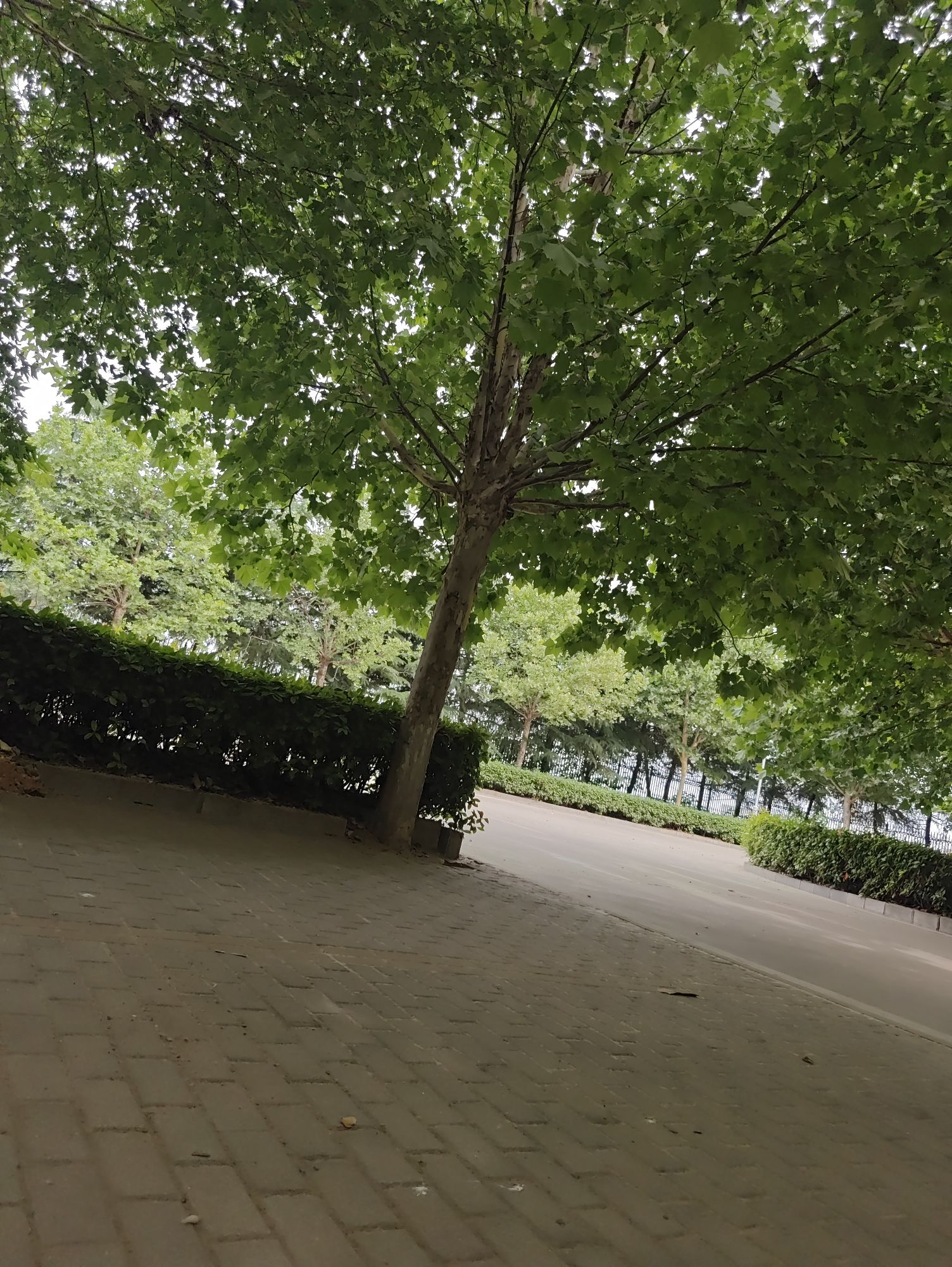 西霞院风景区旅行图片 3
