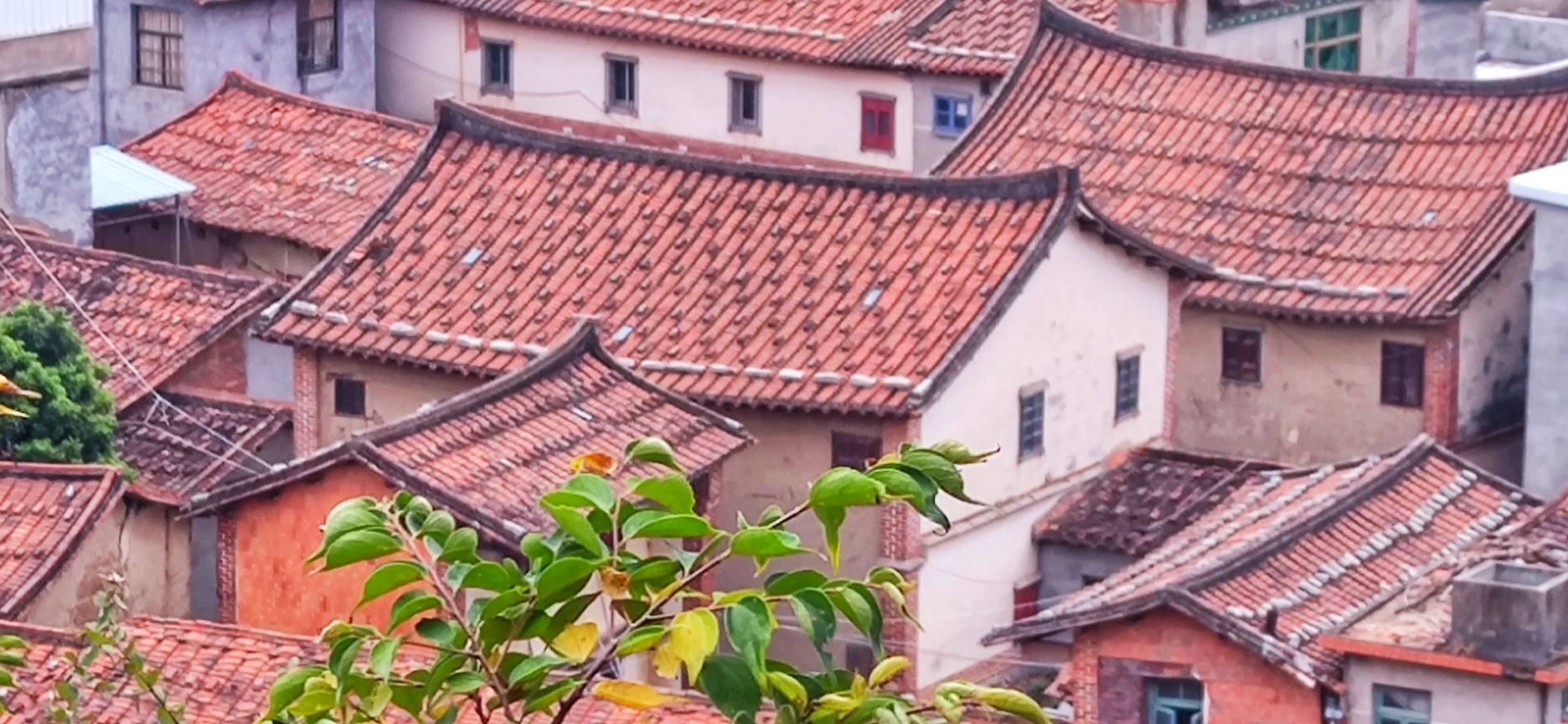 雁阵塔旅行图片 3