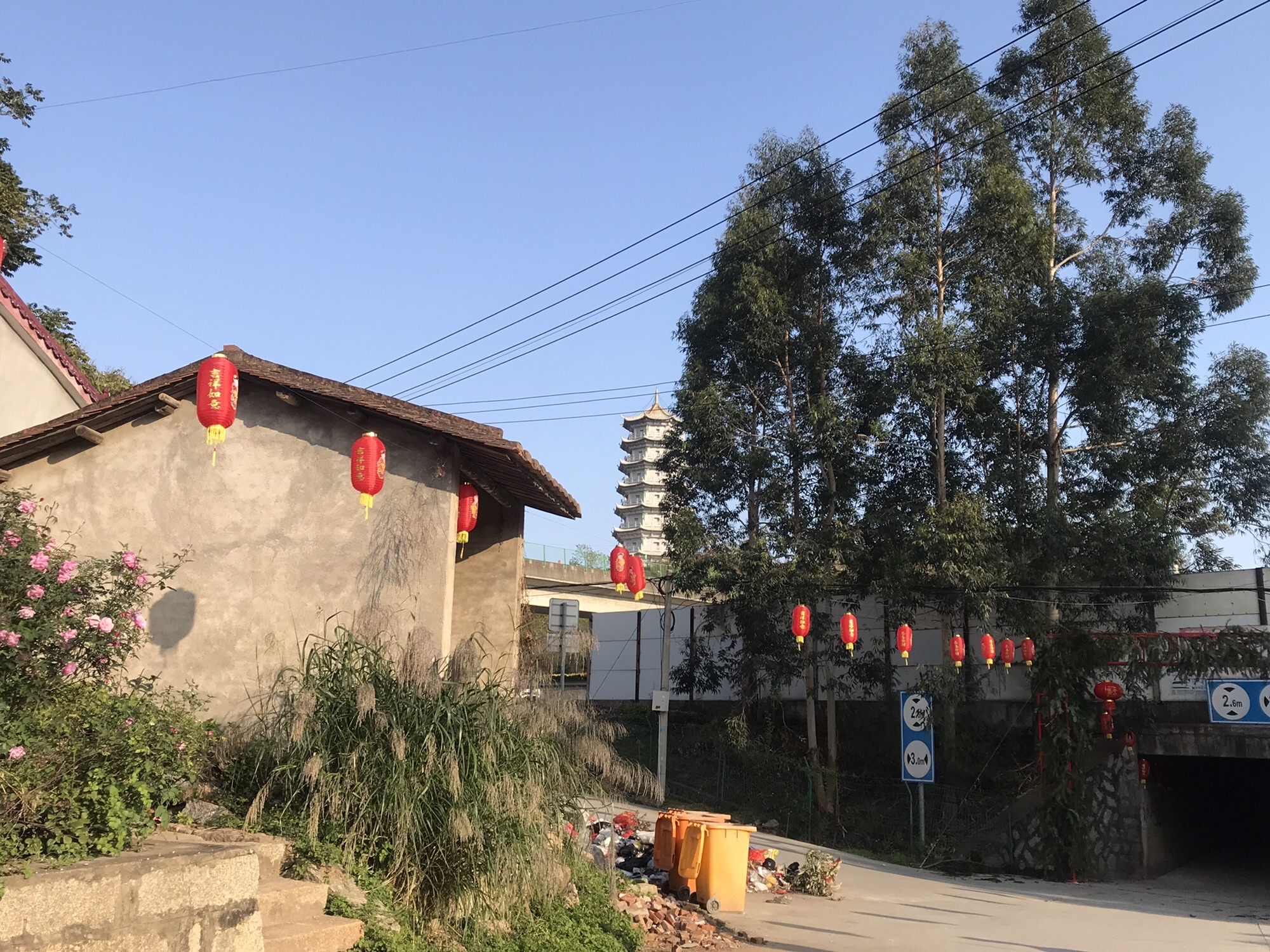 雁阵塔旅行图片 1