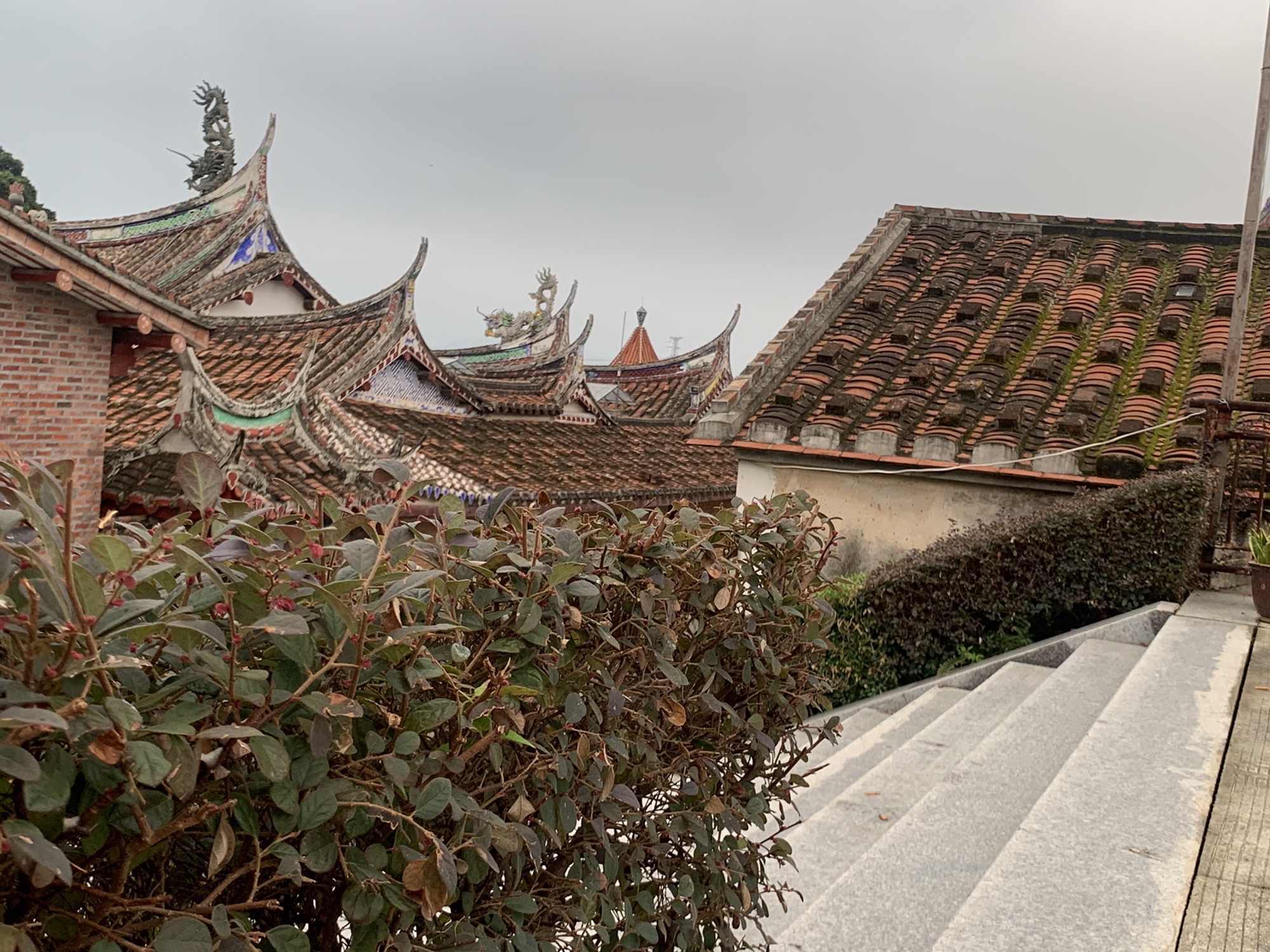 雁阵塔旅行图片 1