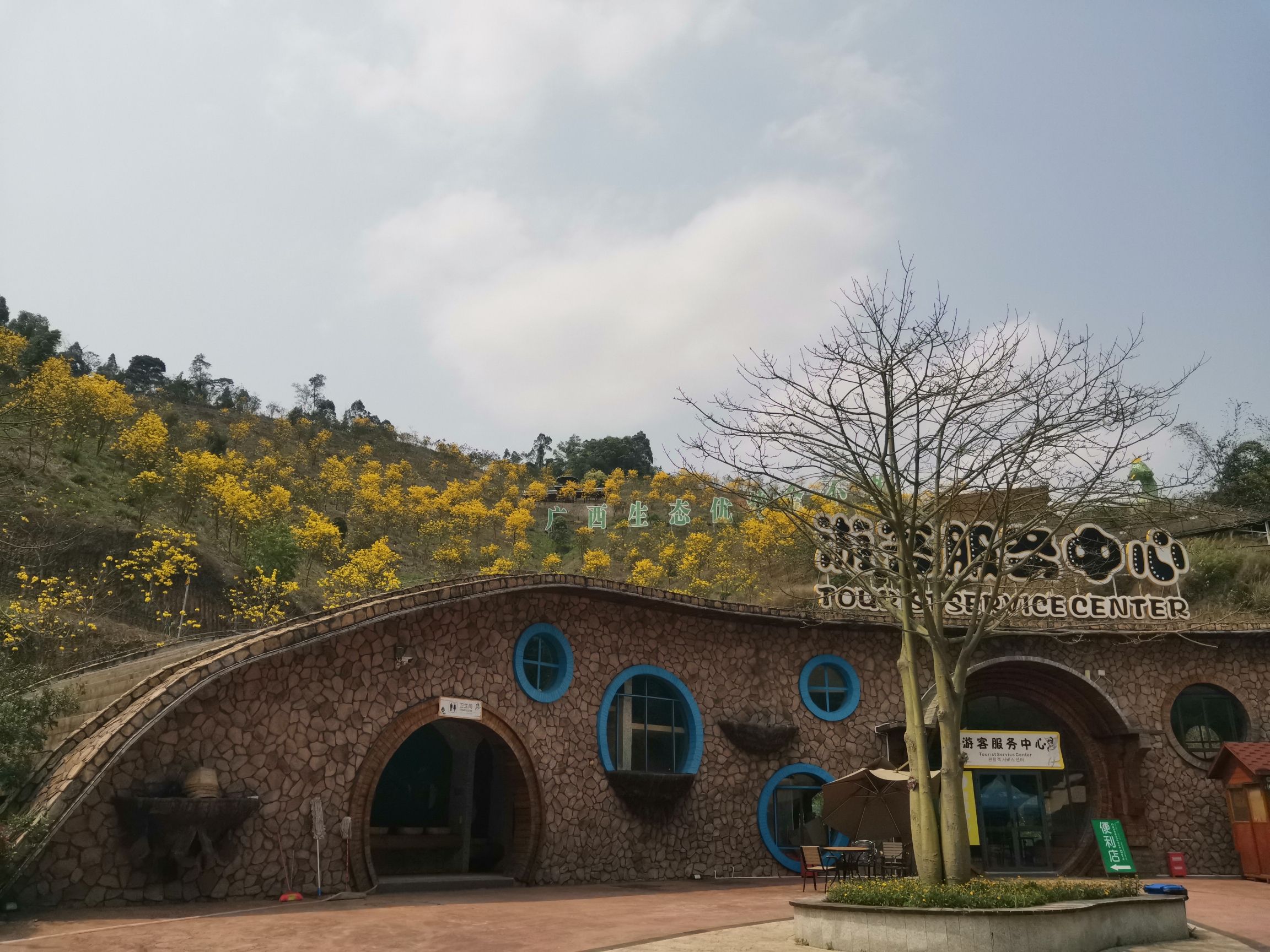 广西高峰森林公园旅行图片 2