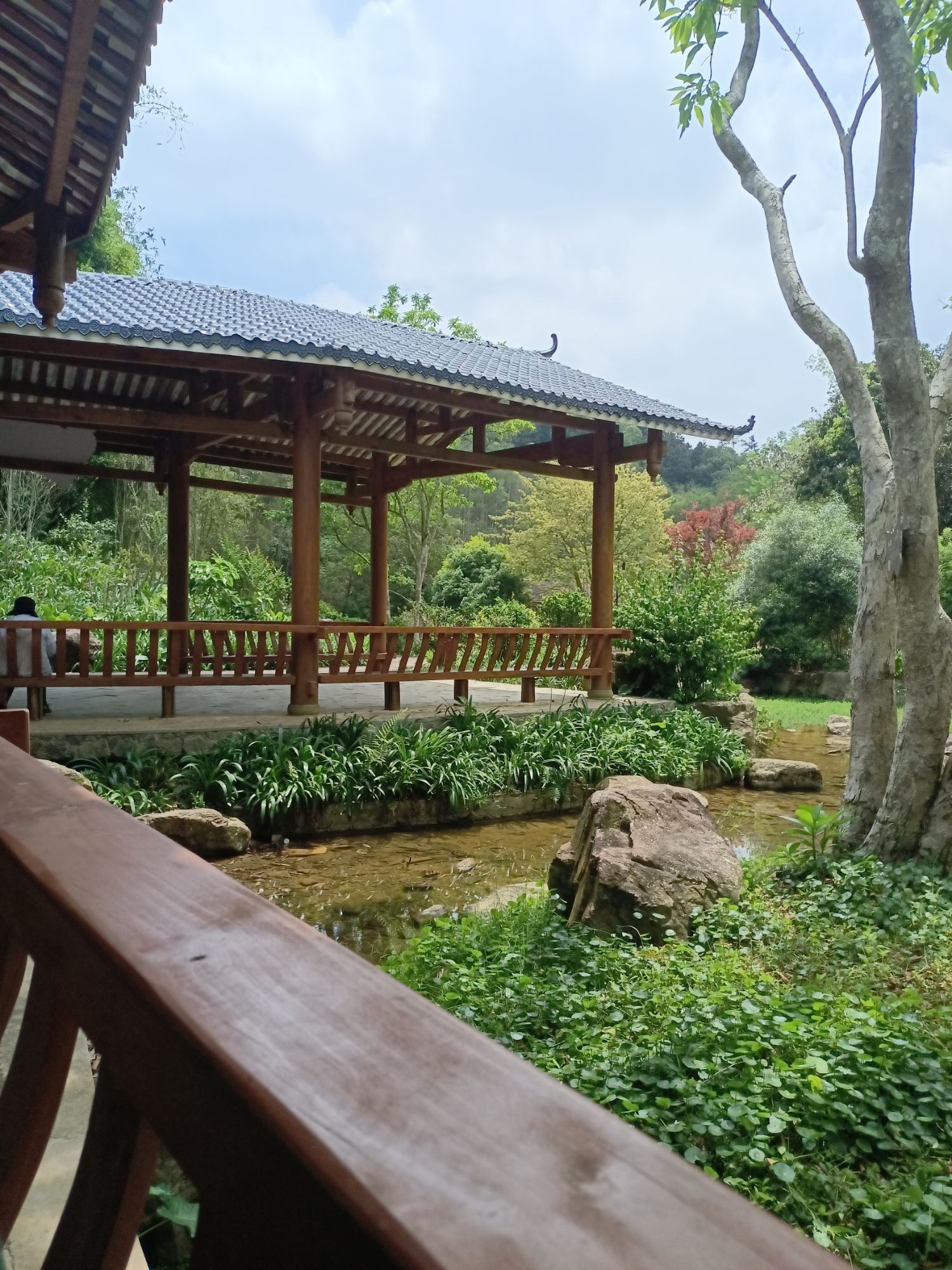 广西高峰森林公园旅行图片 2