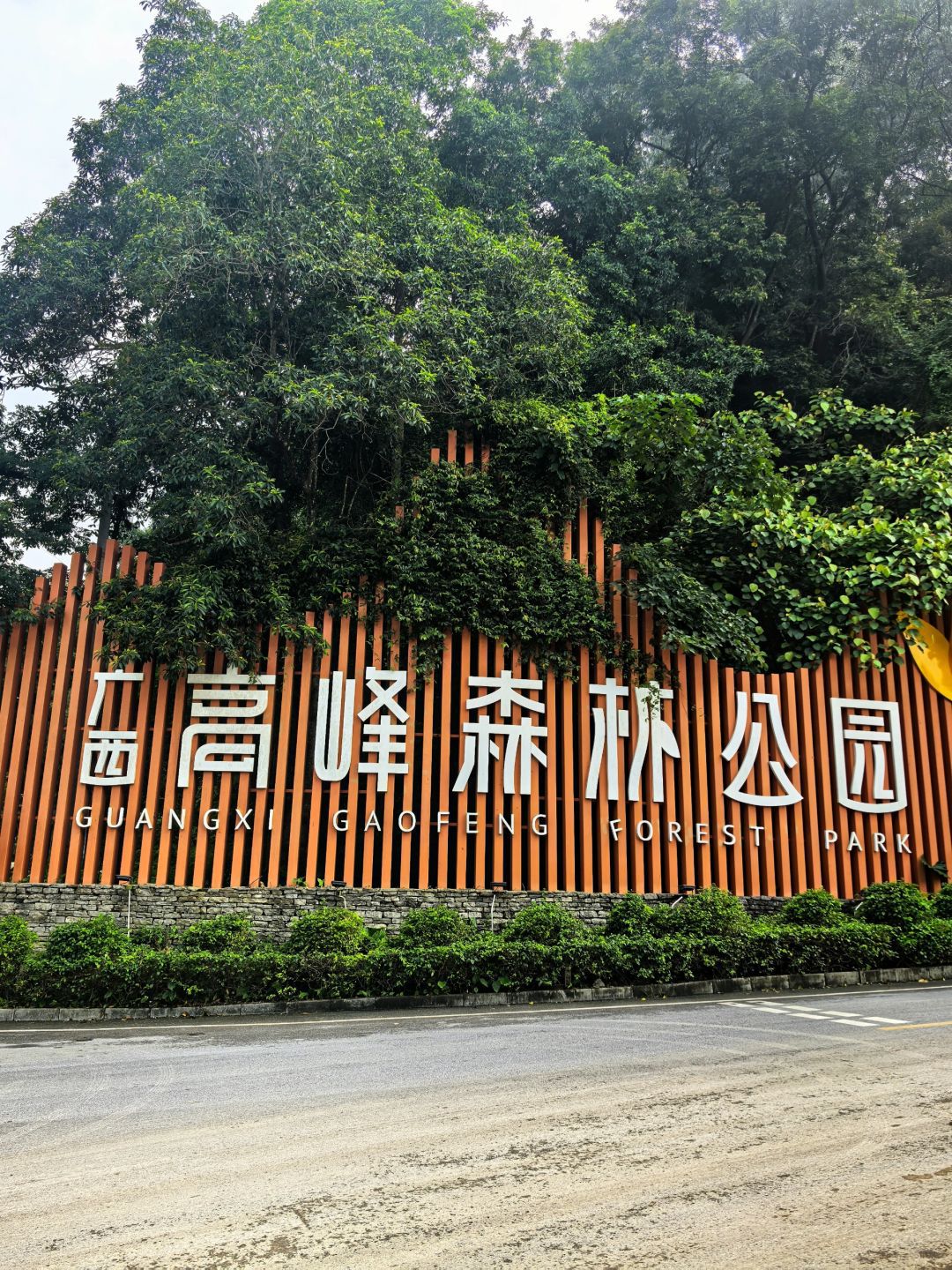 广西高峰森林公园旅行图片 1