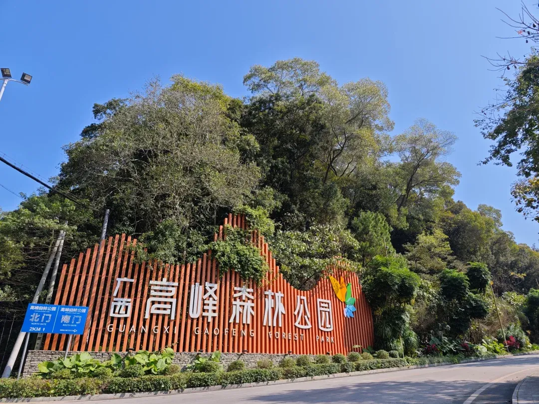 广西高峰森林公园旅行图片 2