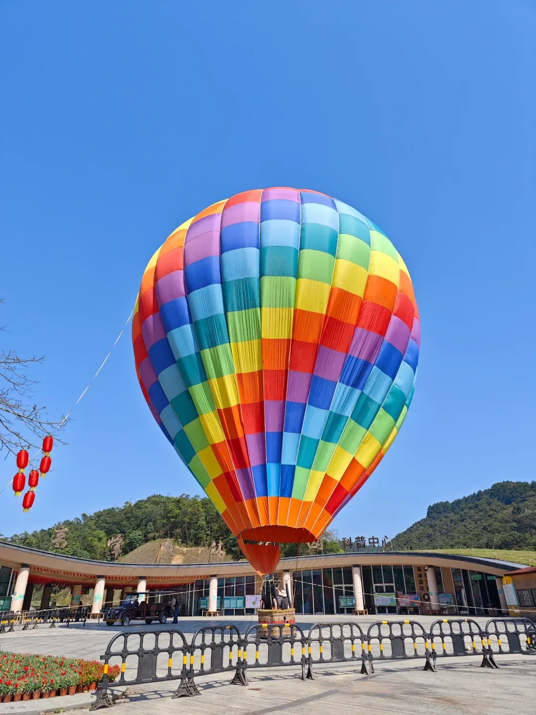 广西高峰森林公园旅行图片 3