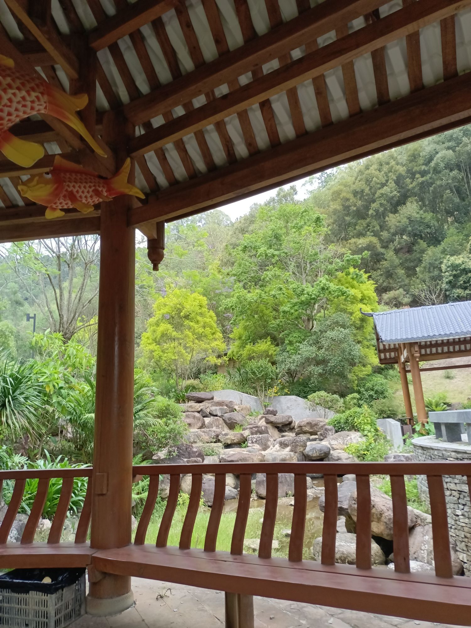 广西高峰森林公园旅行图片 3