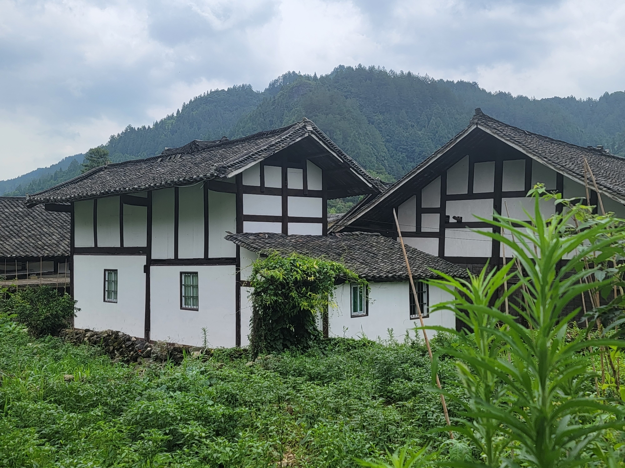 石家寨传统村落旅游景区旅行图片 3