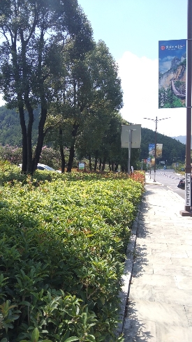乌江赤壁观景台旅行图片 3