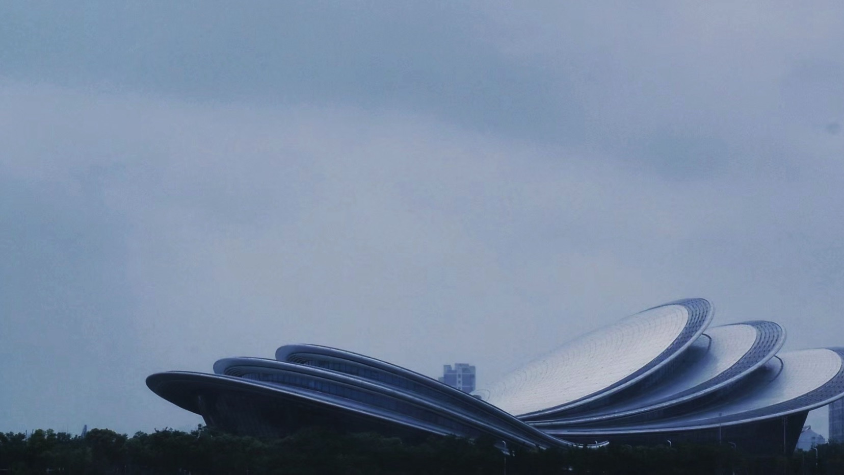 蝶湖公园旅行图片 3