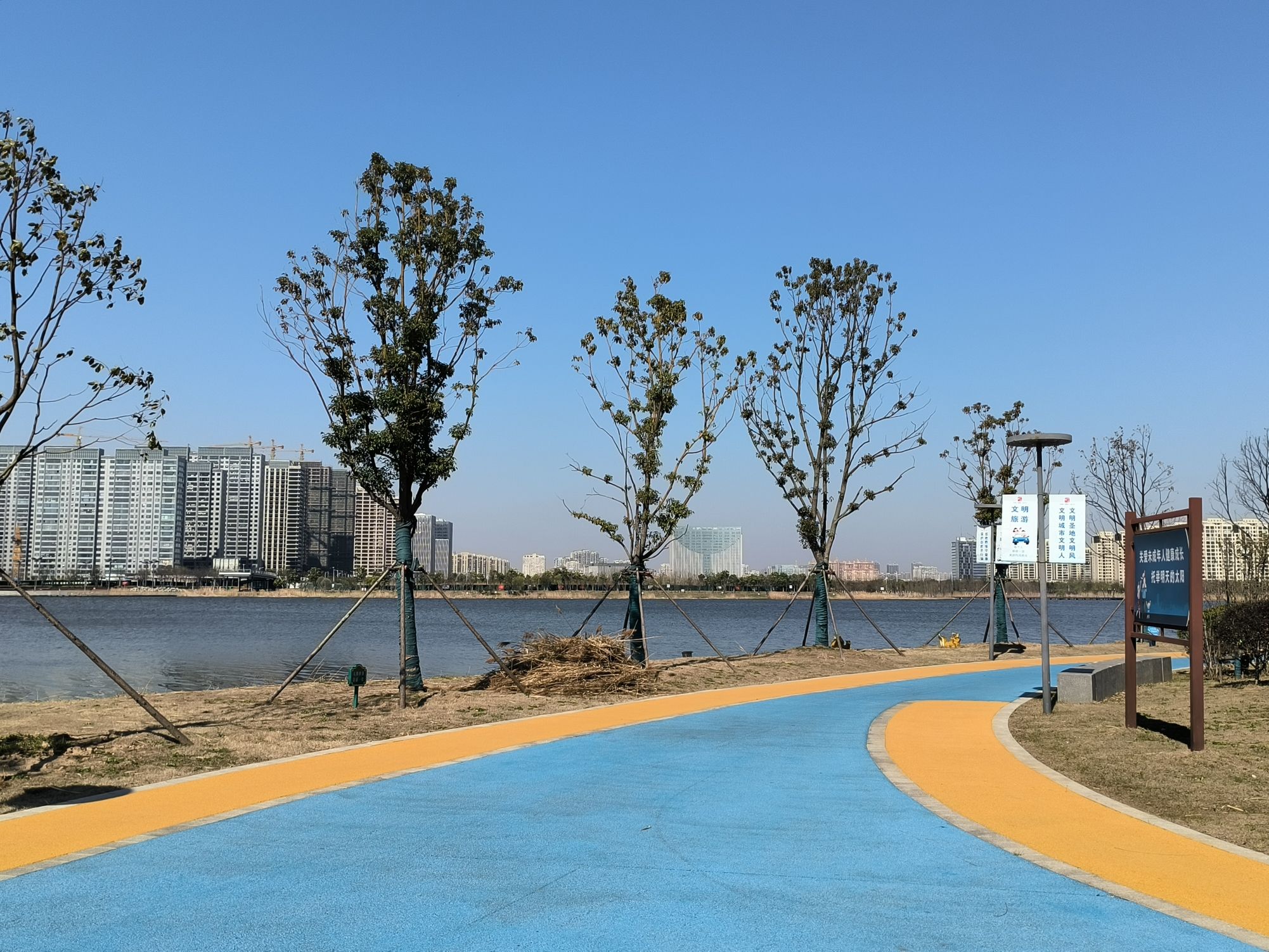 蝶湖公园
