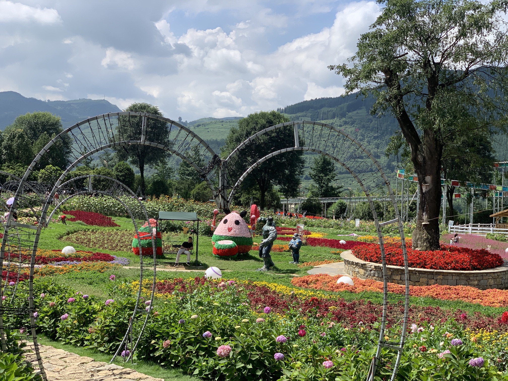 大河堡凉都花海旅行图片 1